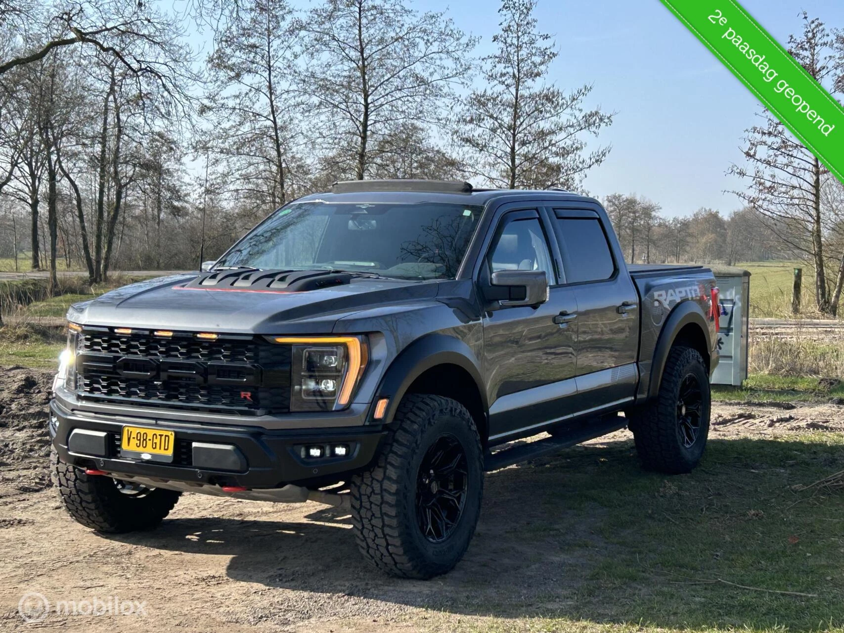 Hoofdafbeelding Ford F-150