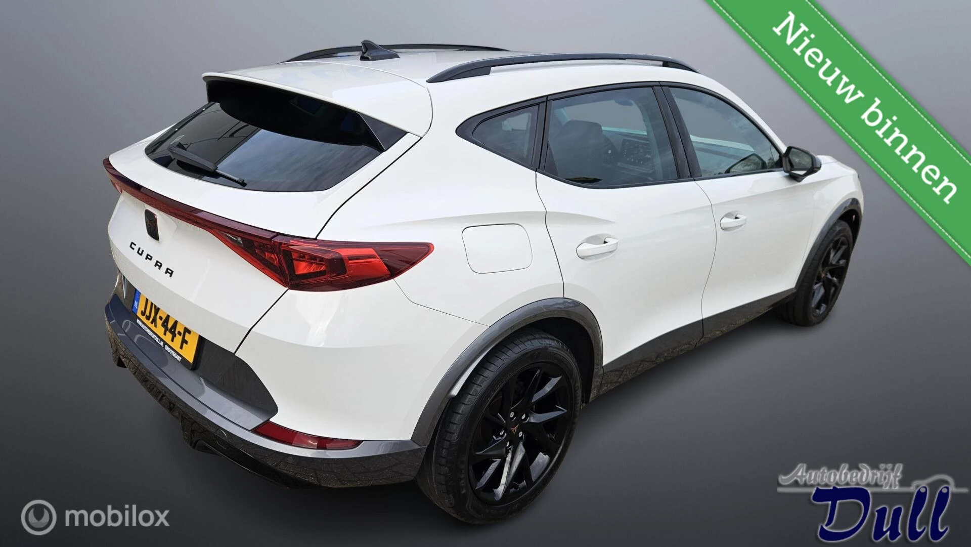 Hoofdafbeelding CUPRA Formentor