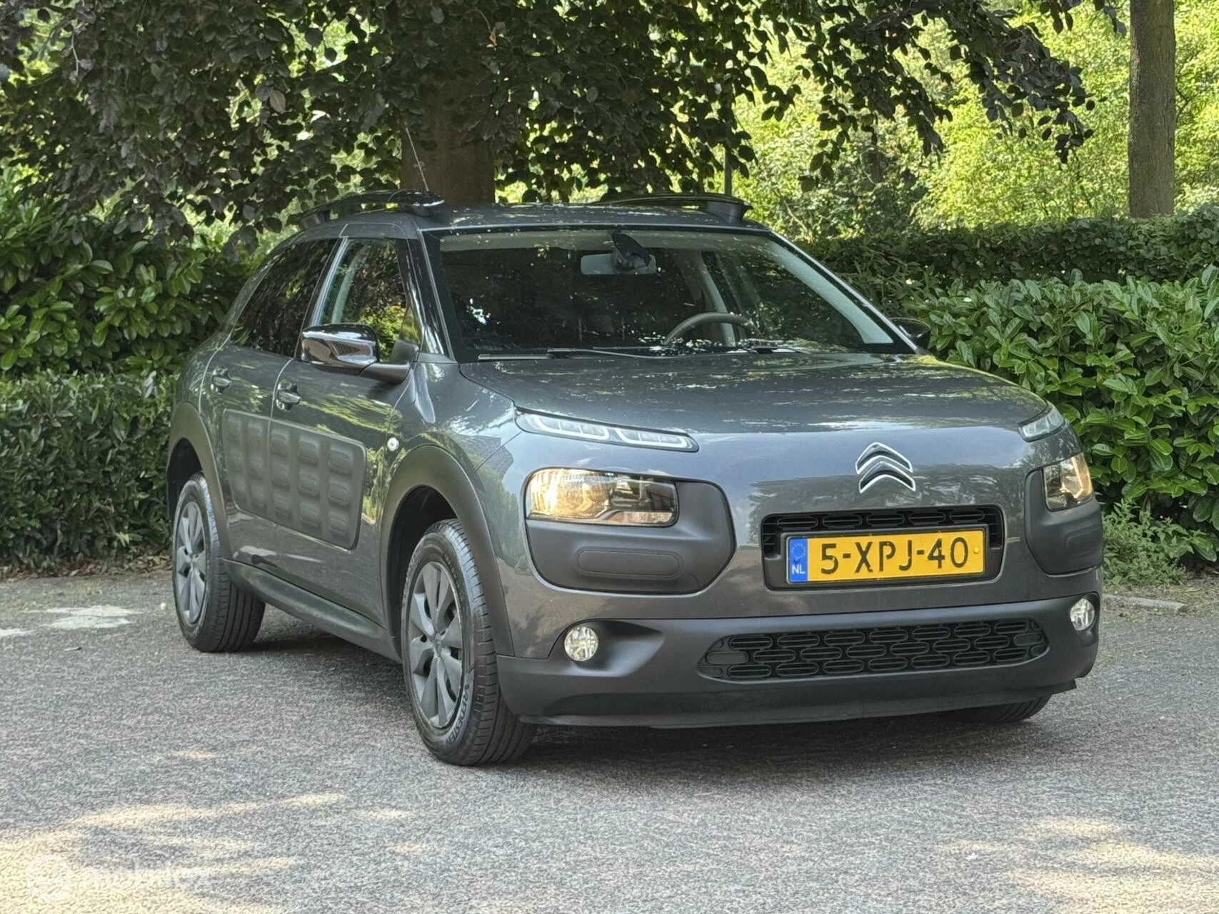 Hoofdafbeelding Citroën C4 Cactus