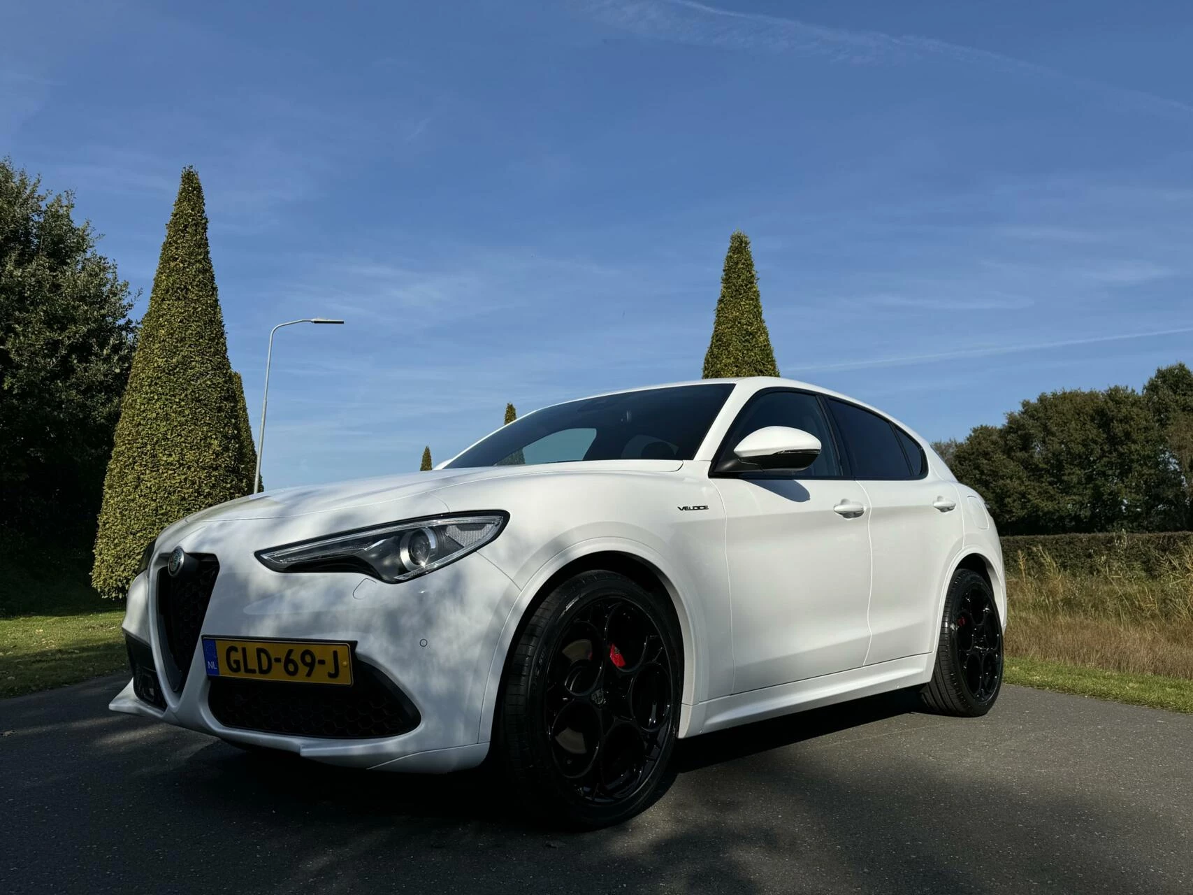 Hoofdafbeelding Alfa Romeo Stelvio