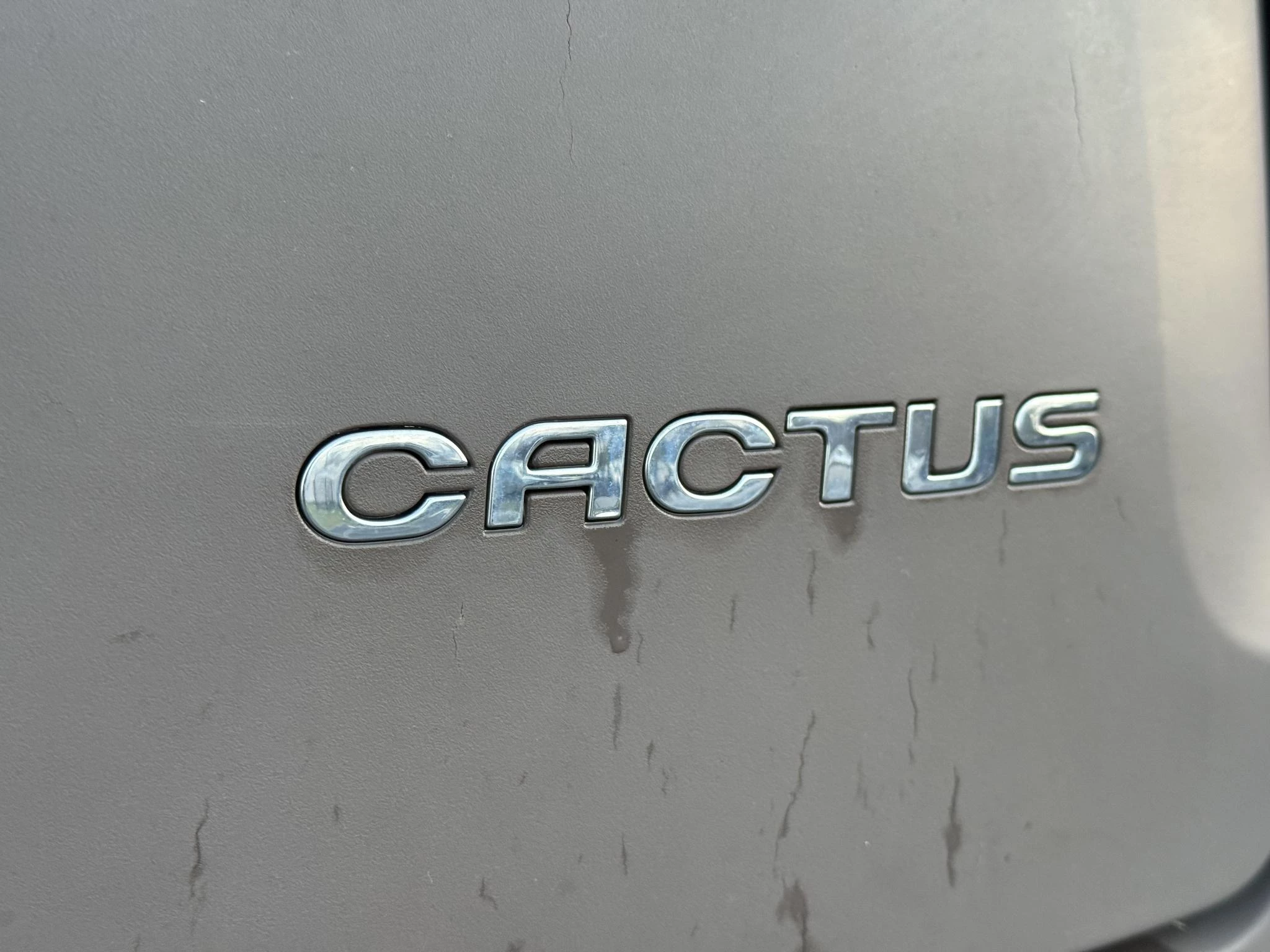 Hoofdafbeelding Citroën C4 Cactus