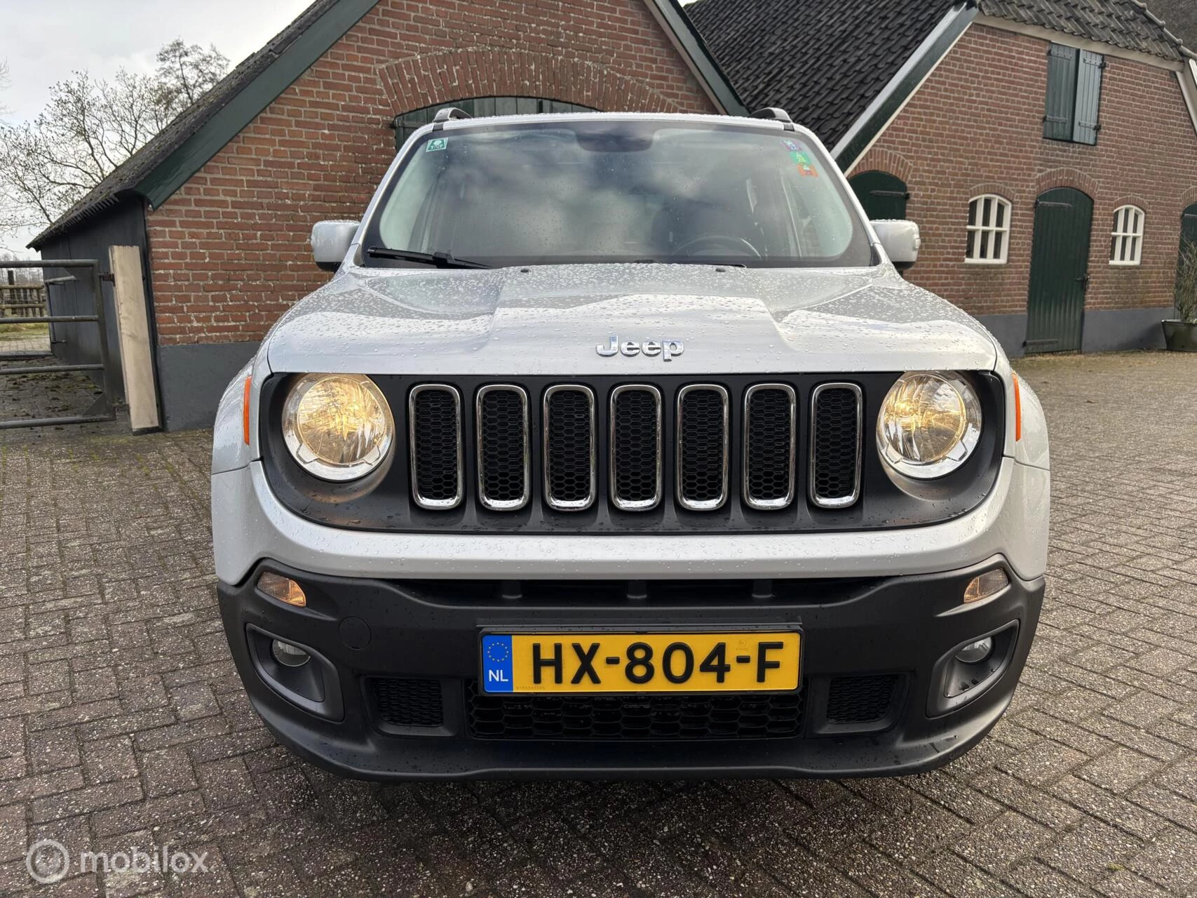 Hoofdafbeelding Jeep Renegade
