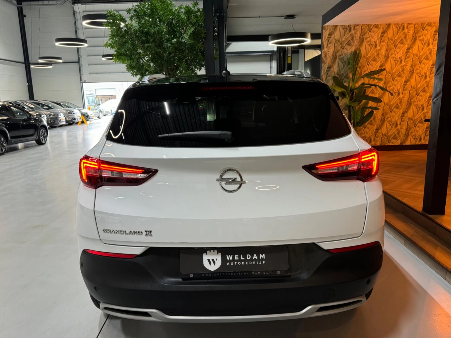 Hoofdafbeelding Opel Grandland X