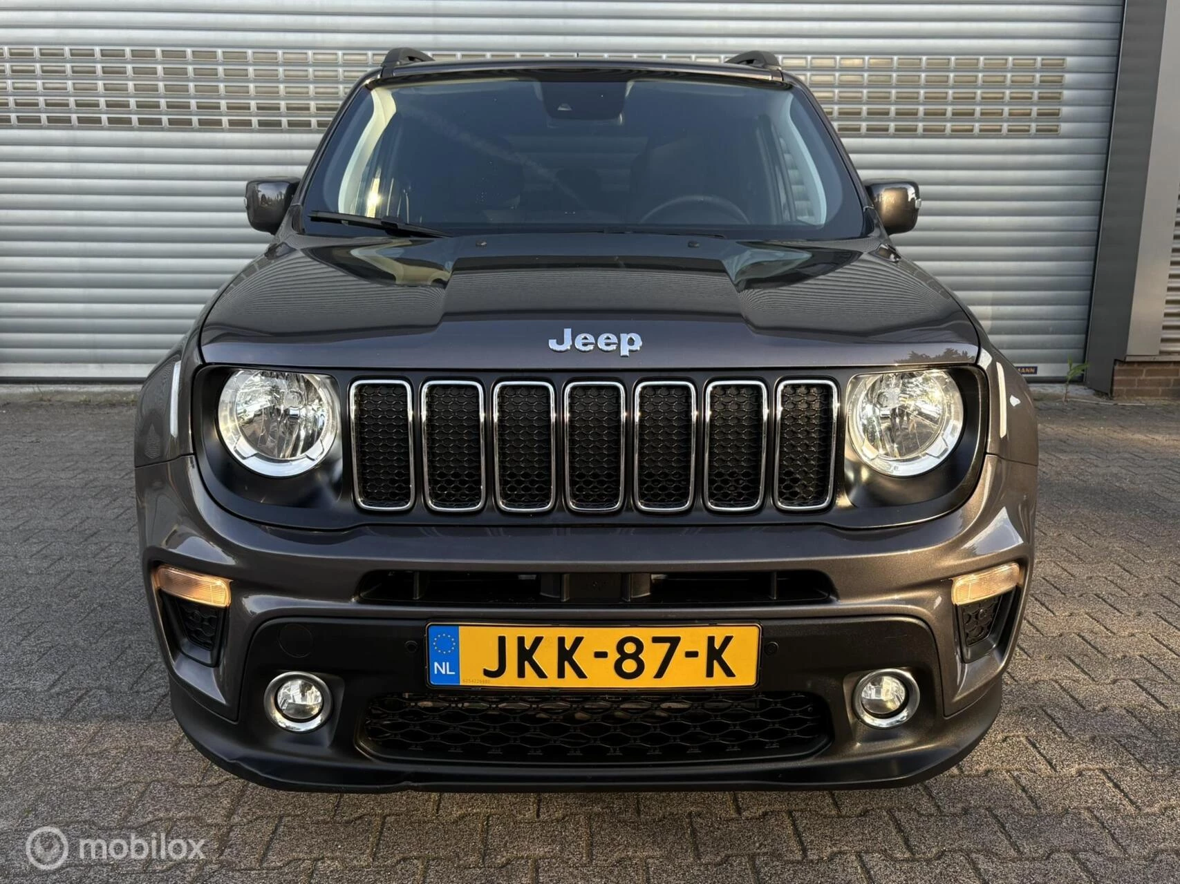 Hoofdafbeelding Jeep Renegade