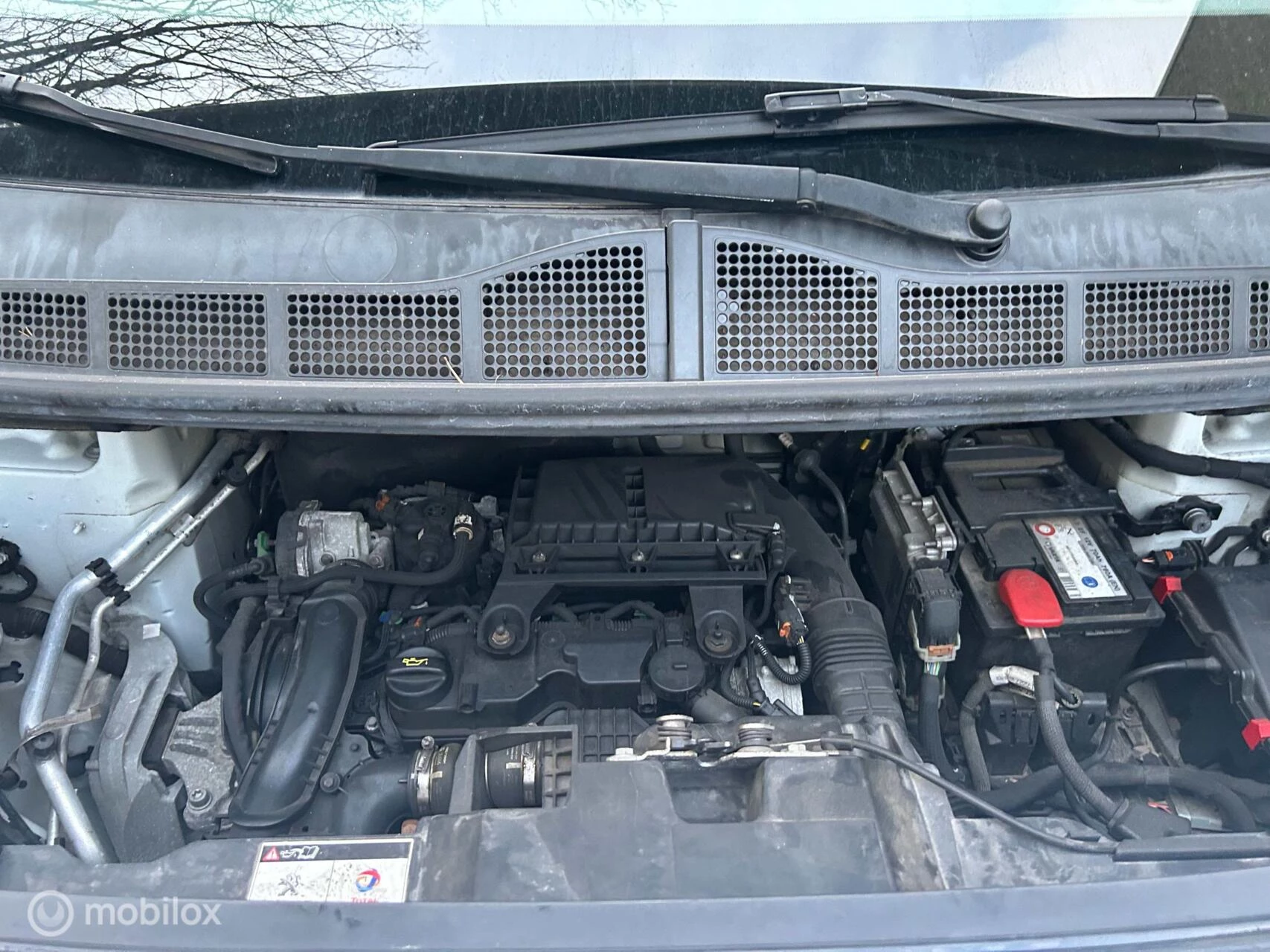 Hoofdafbeelding Peugeot Expert