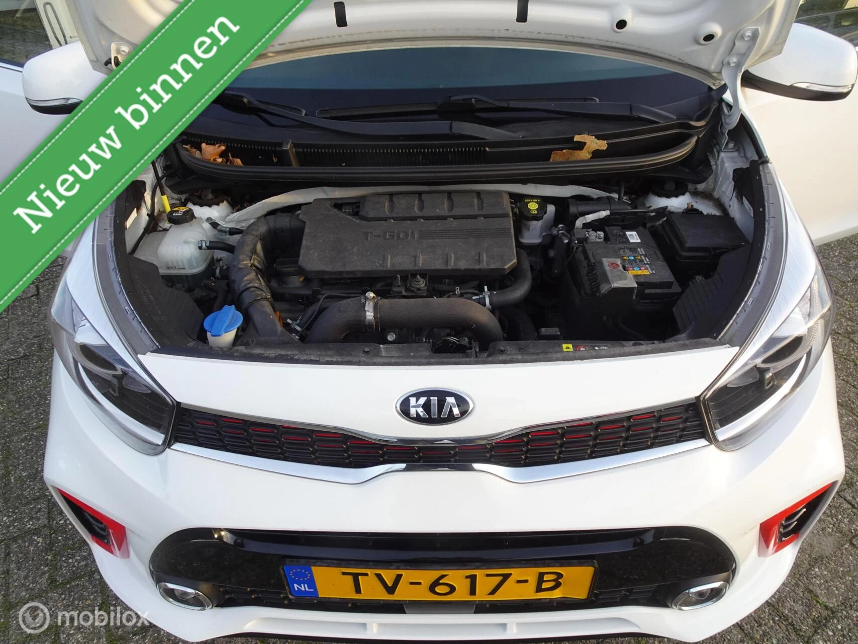 Hoofdafbeelding Kia Picanto