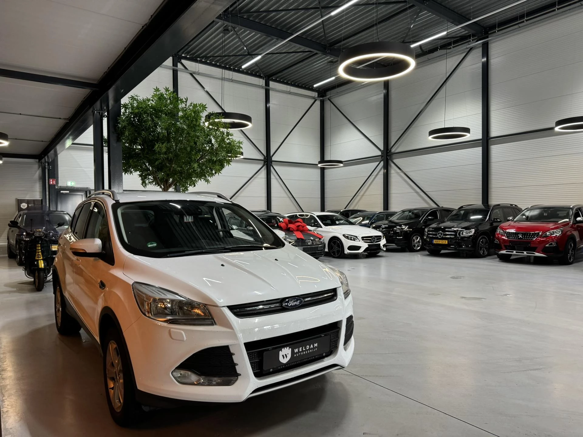 Hoofdafbeelding Ford Kuga