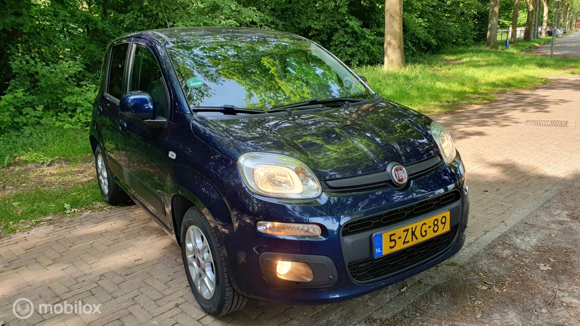 Hoofdafbeelding Fiat Panda
