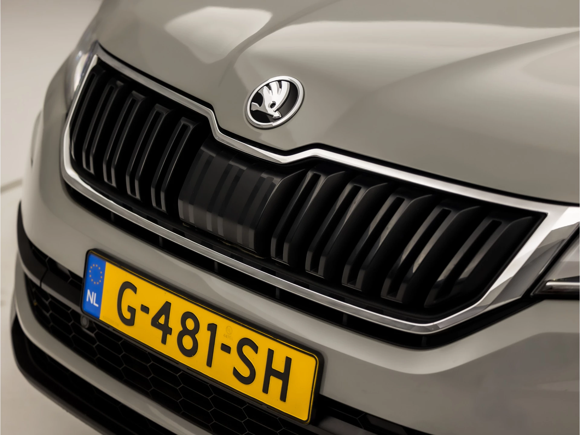 Hoofdafbeelding Škoda Kodiaq