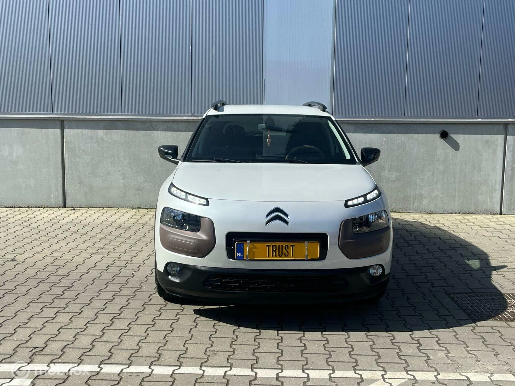 Hoofdafbeelding Citroën C4 Cactus