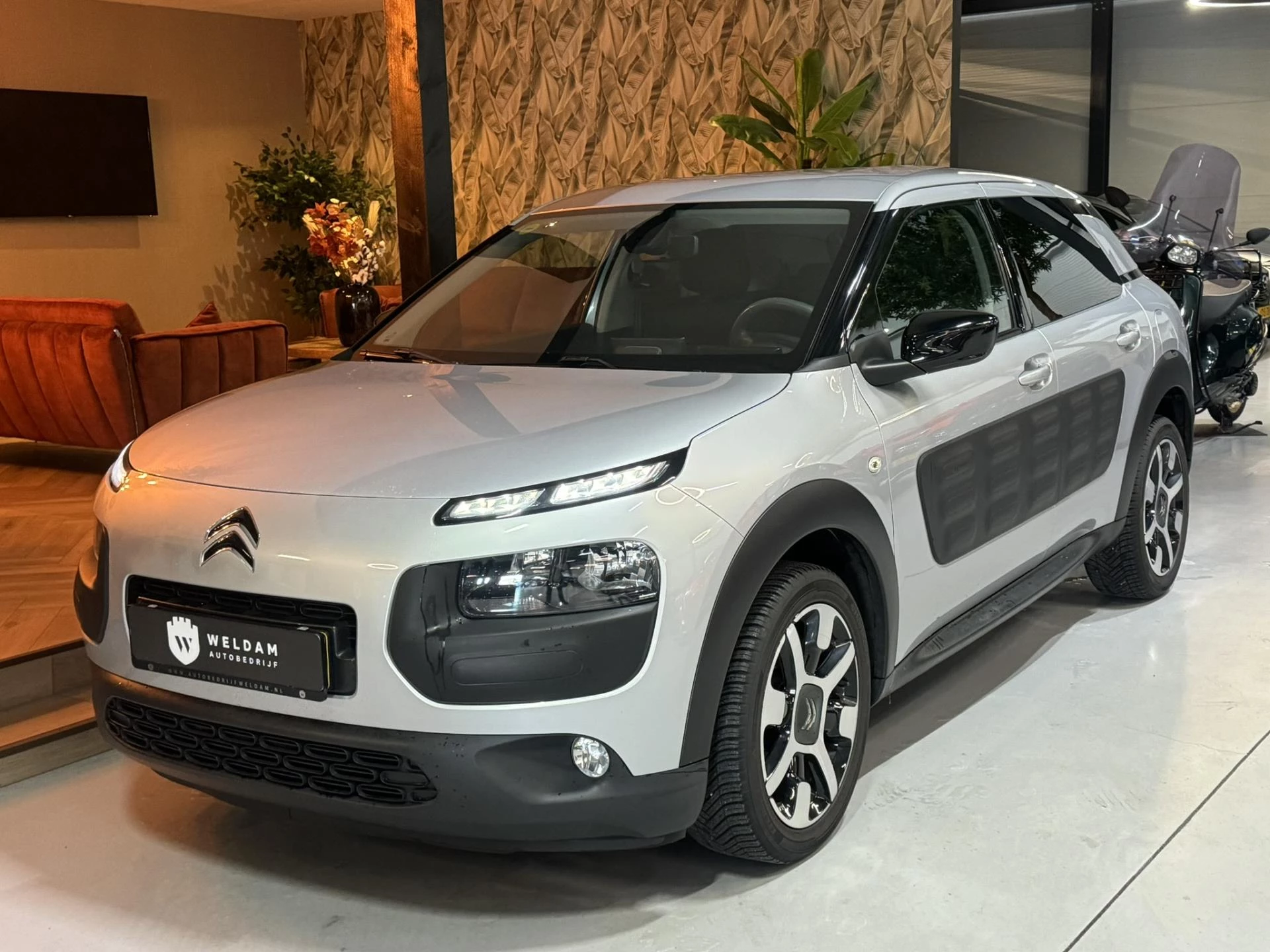 Hoofdafbeelding Citroën C4 Cactus