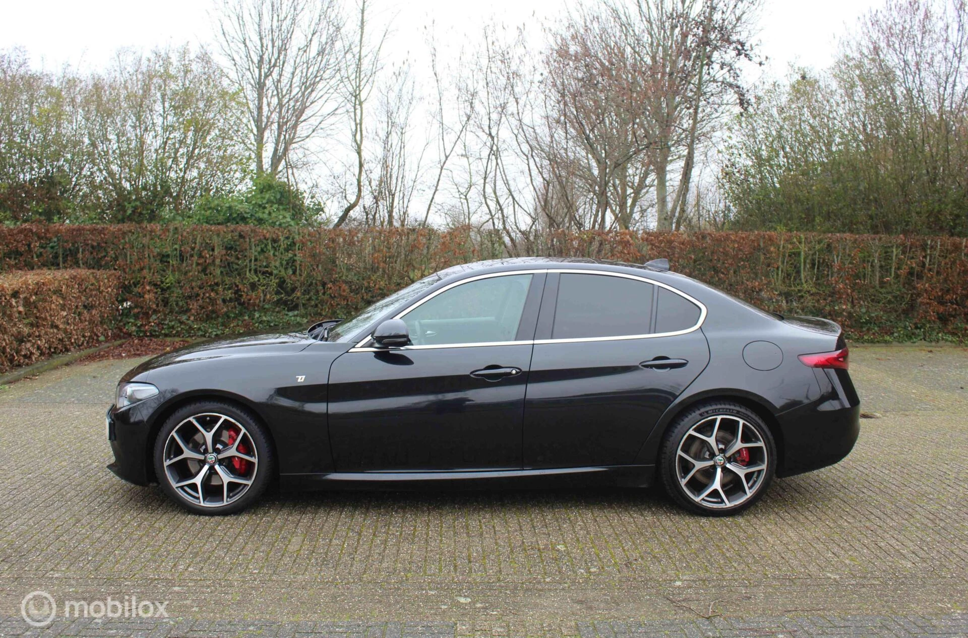 Hoofdafbeelding Alfa Romeo Giulia