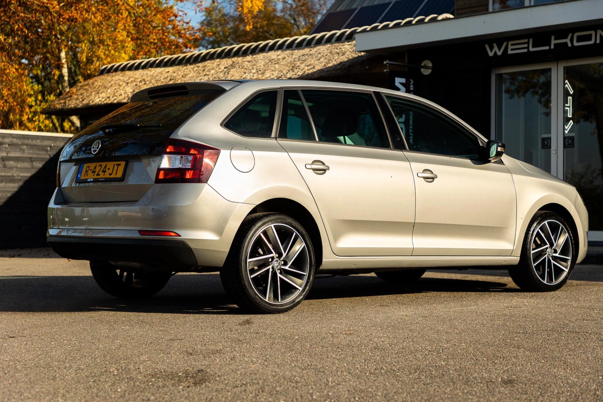 Hoofdafbeelding Škoda Rapid