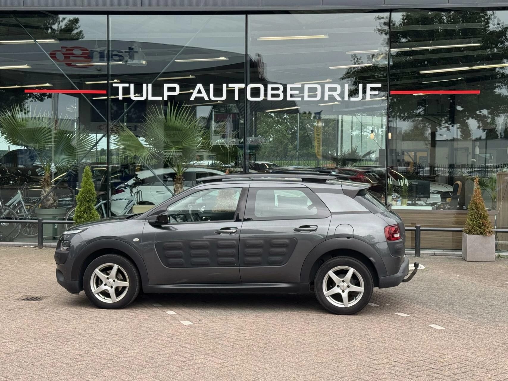 Hoofdafbeelding Citroën C4 Cactus