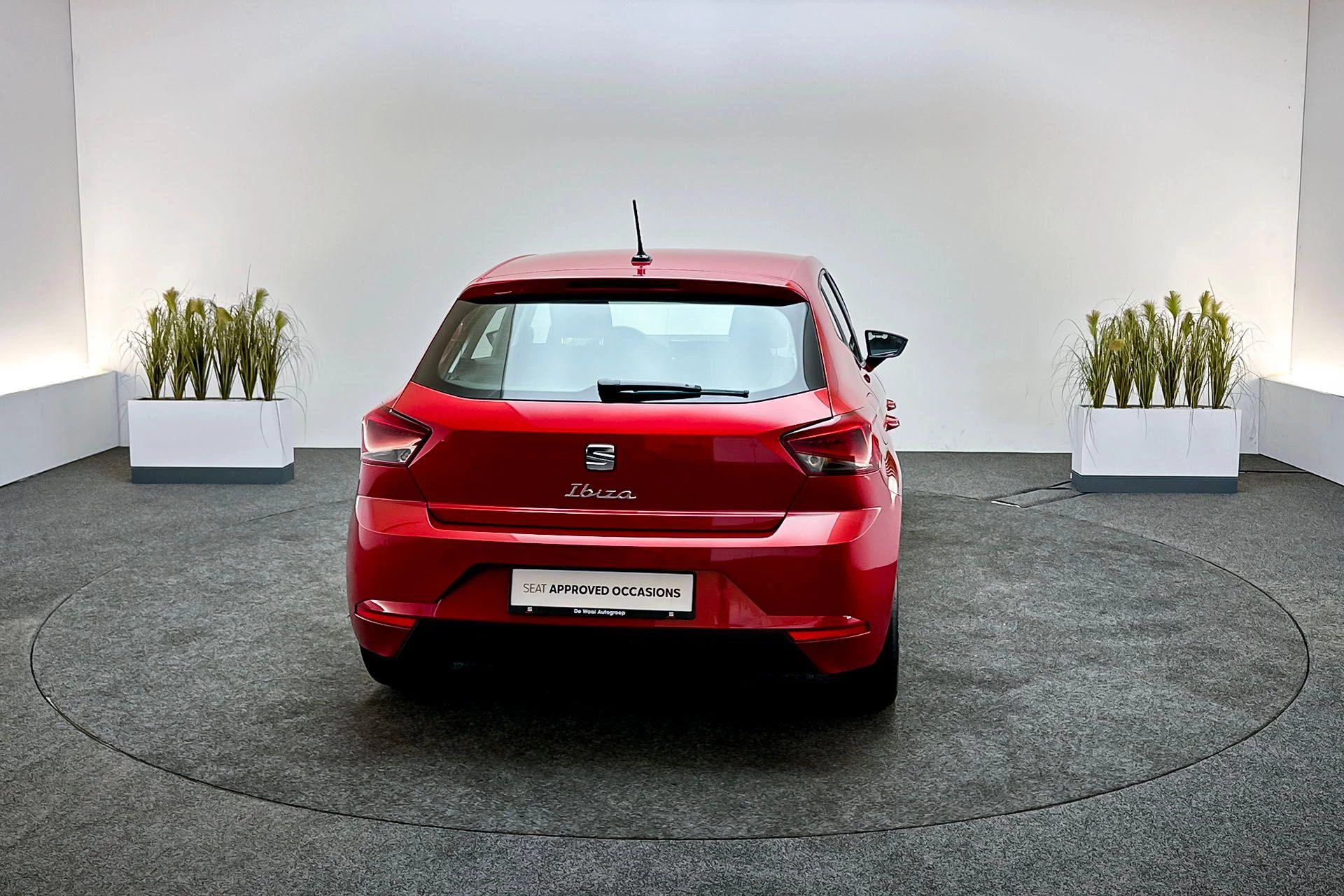 Hoofdafbeelding SEAT Ibiza