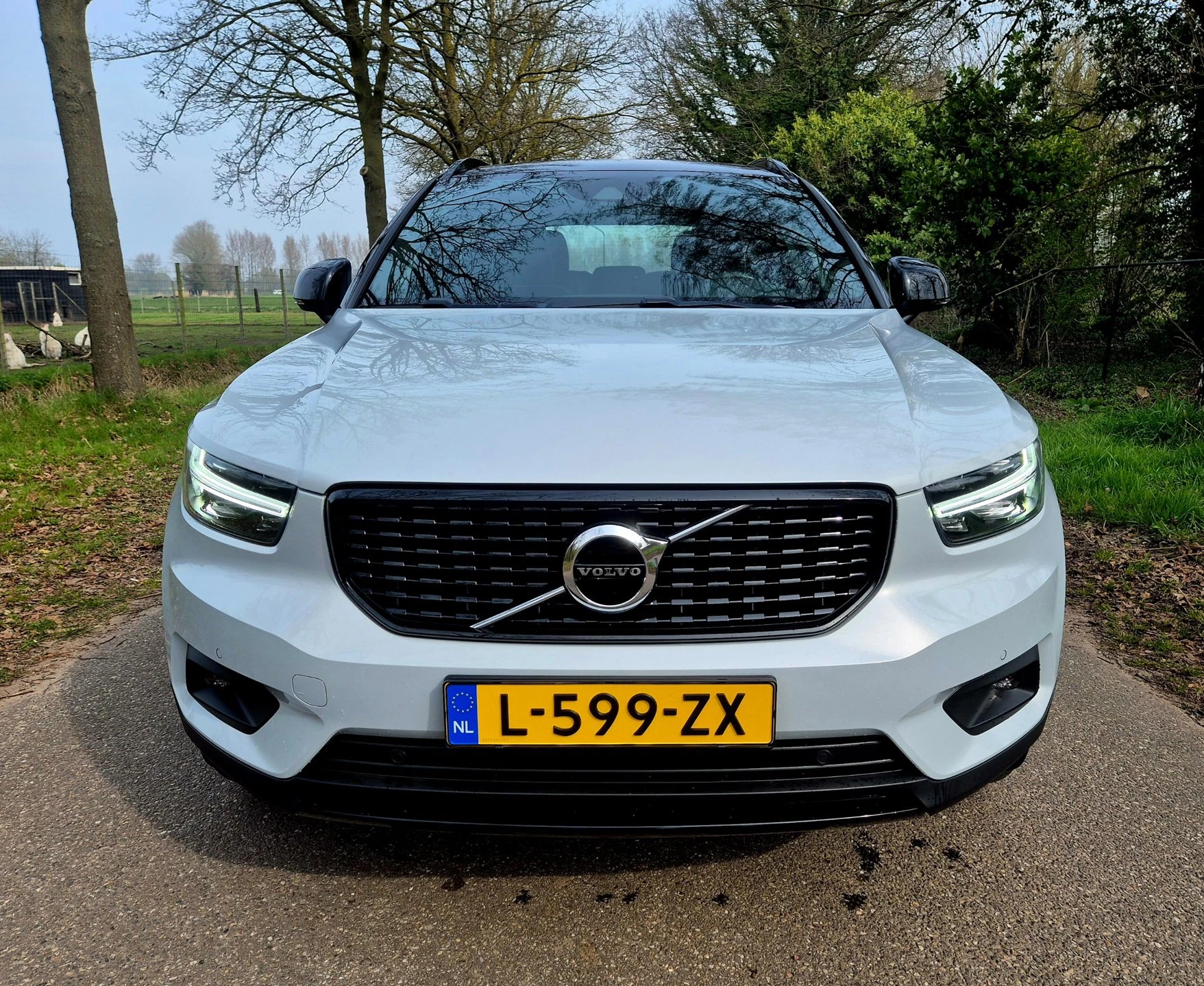 Hoofdafbeelding Volvo XC40