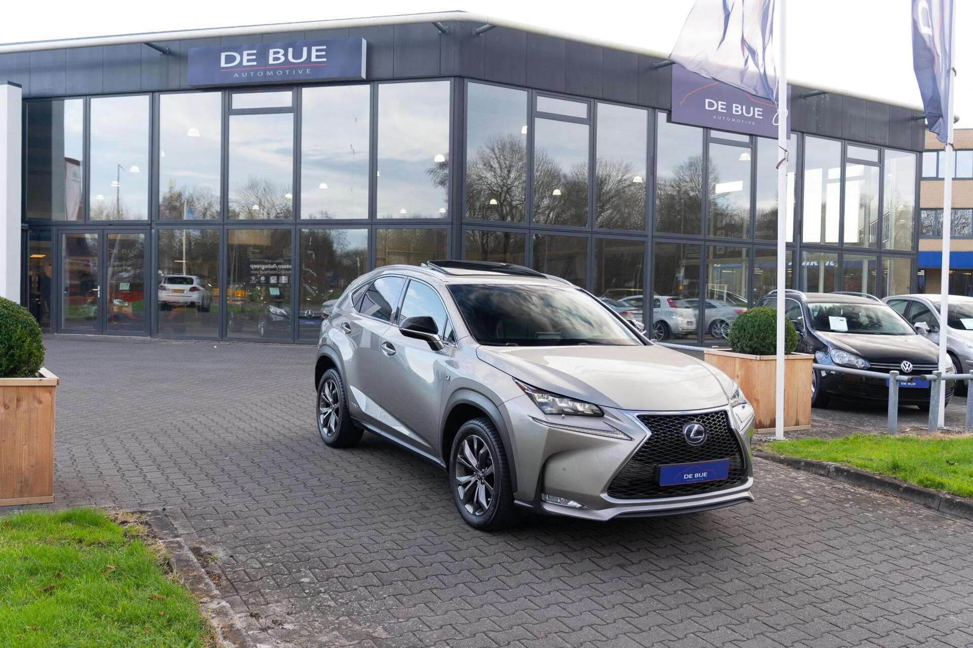 Hoofdafbeelding Lexus NX