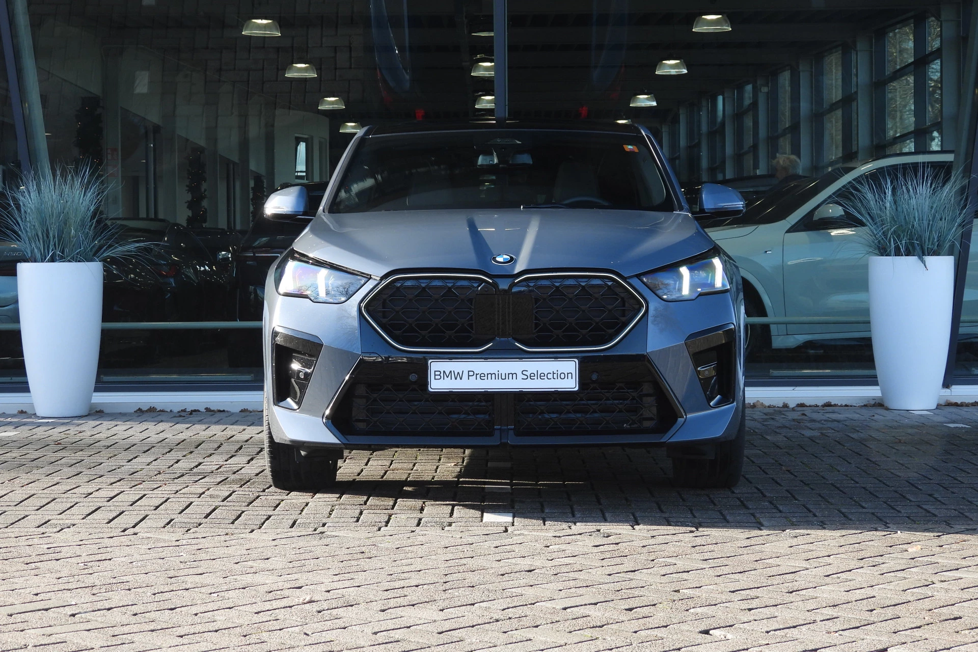 Hoofdafbeelding BMW X2