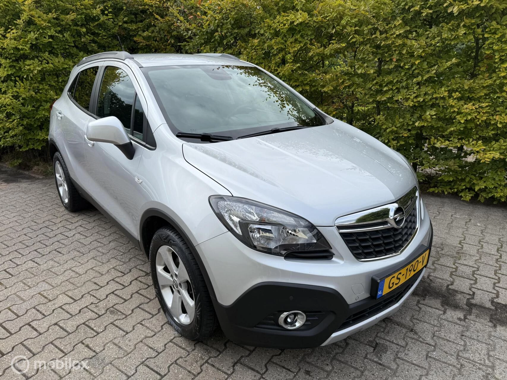 Hoofdafbeelding Opel Mokka