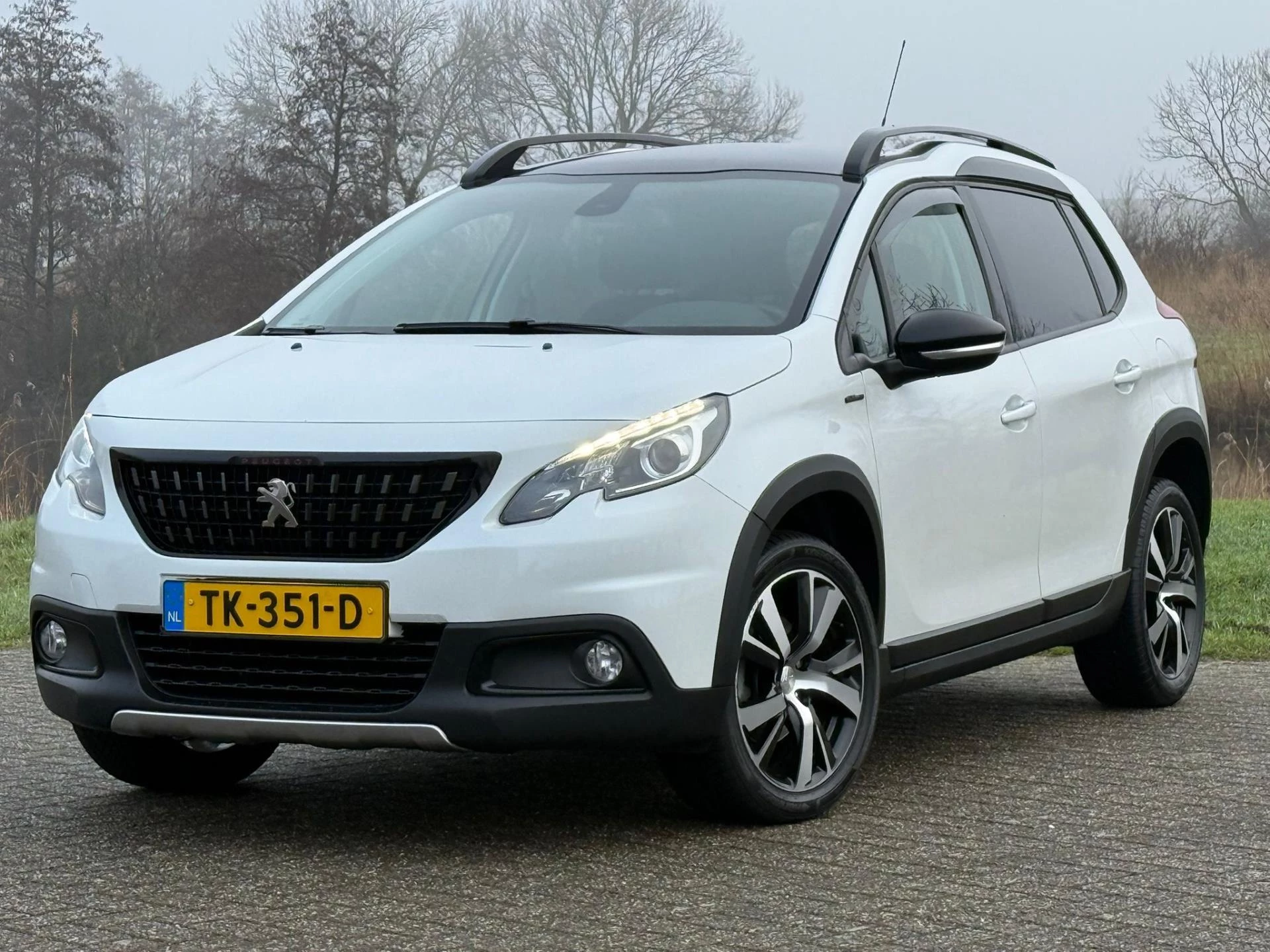 Hoofdafbeelding Peugeot 2008