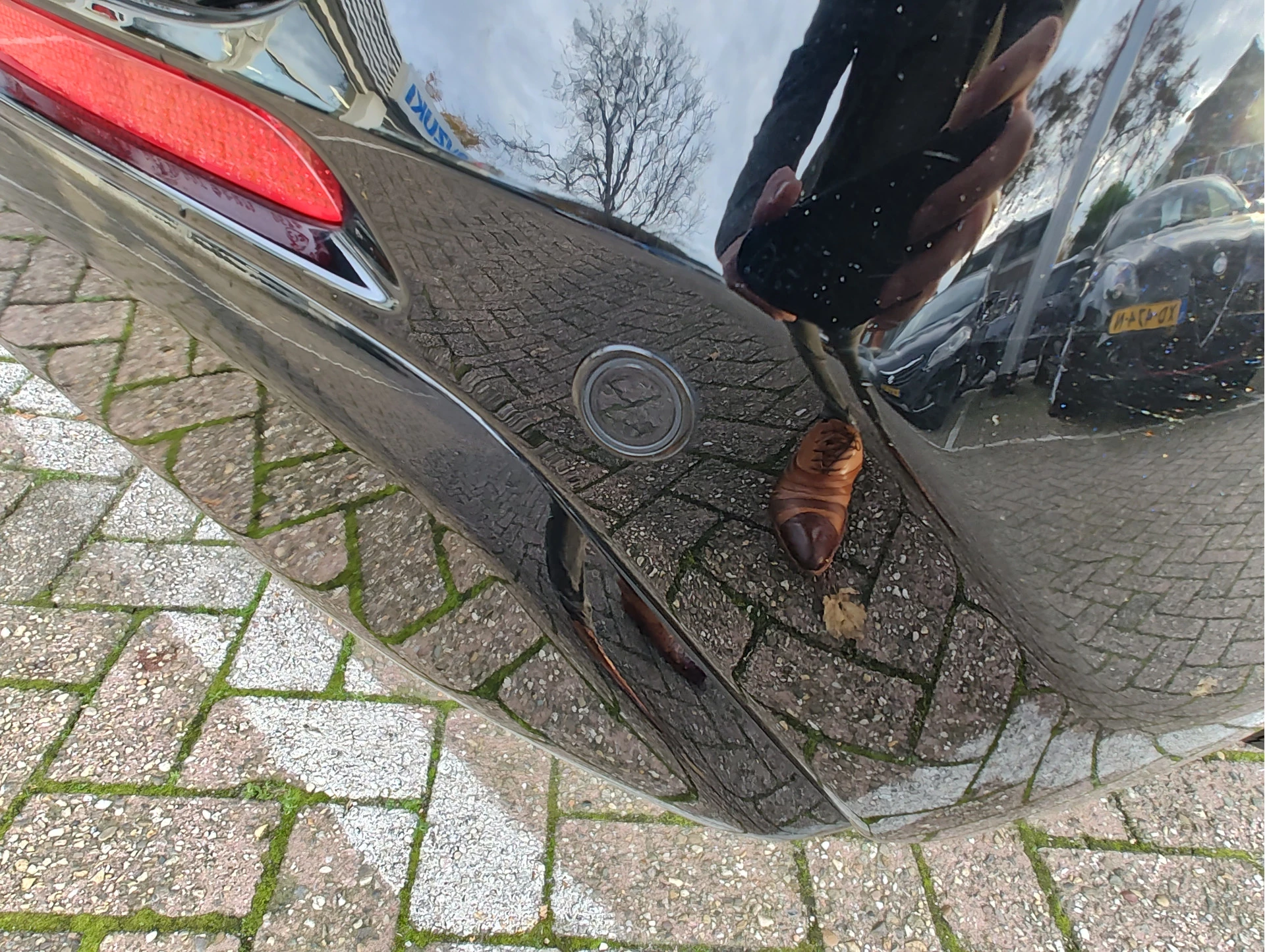 Hoofdafbeelding Suzuki Across