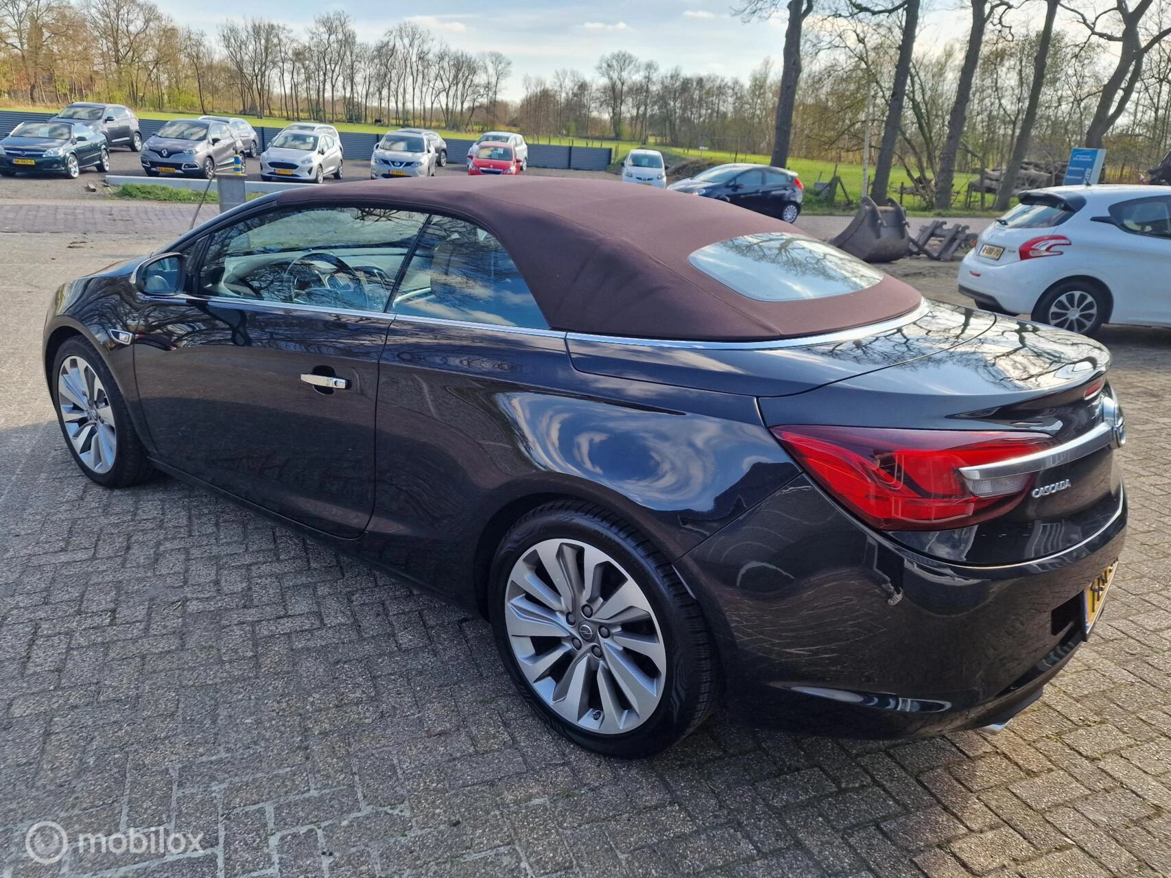 Hoofdafbeelding Opel Cascada