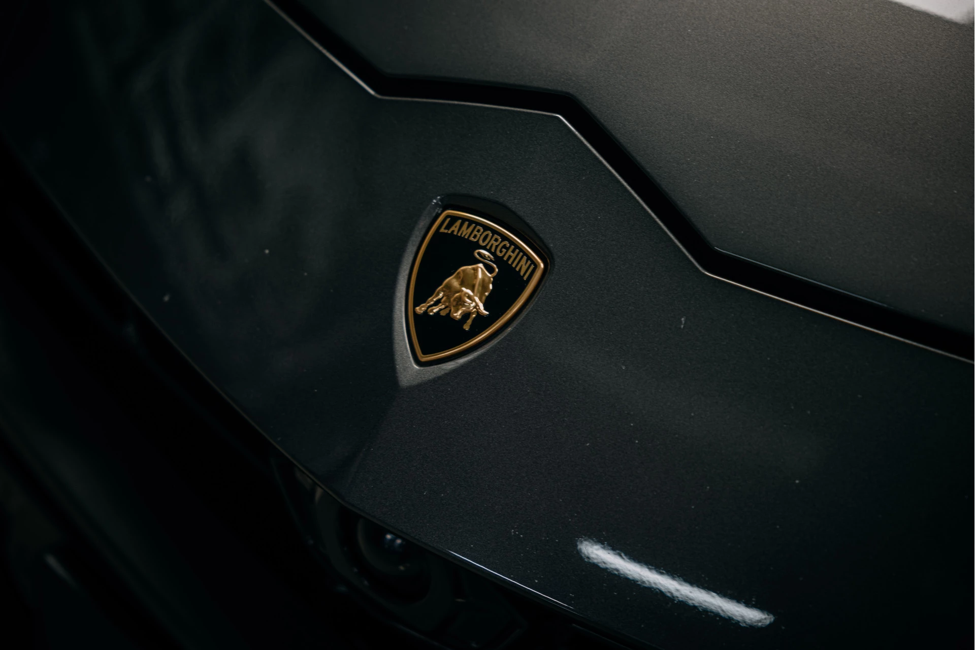 Hoofdafbeelding Lamborghini Urus