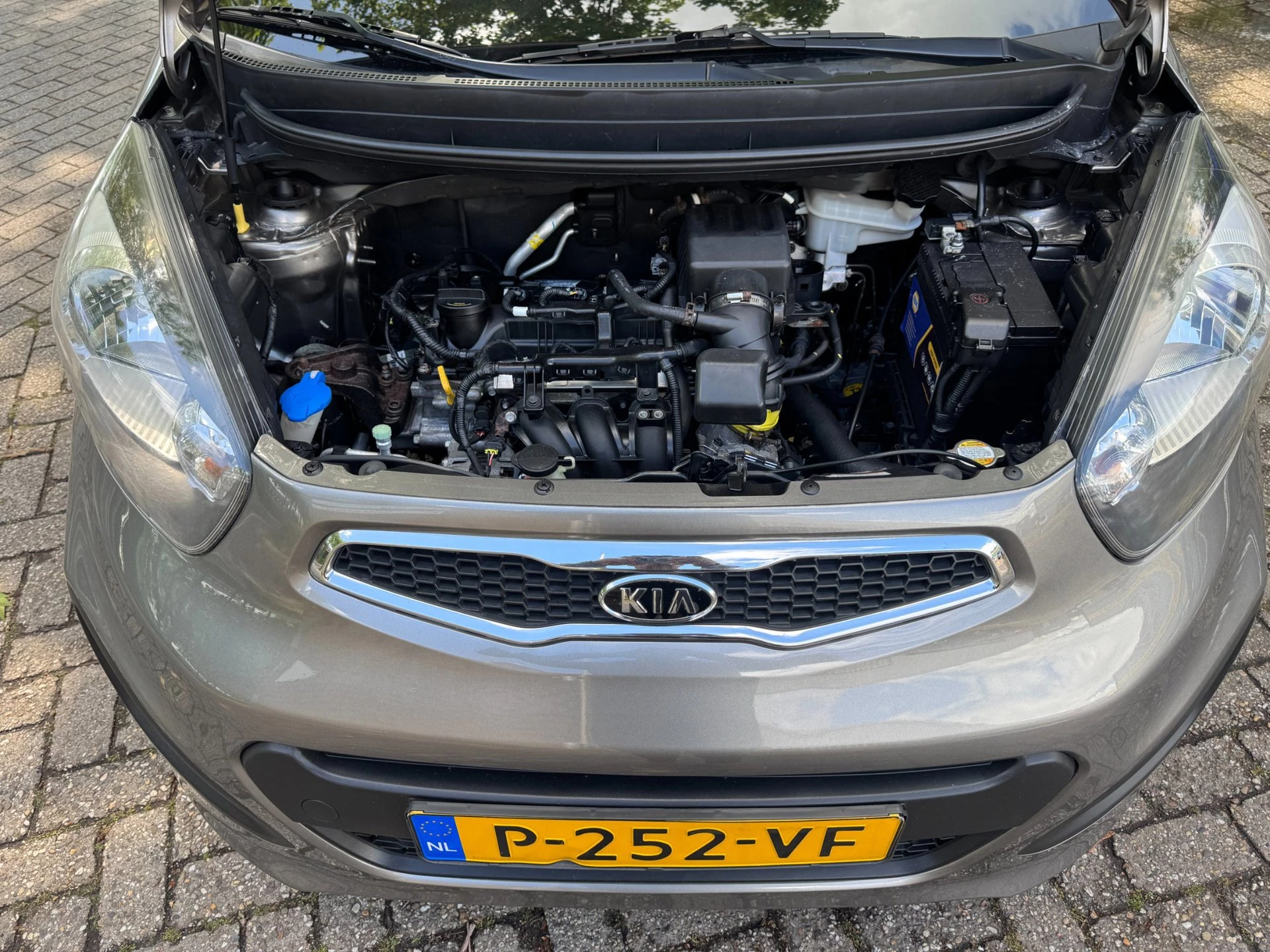 Hoofdafbeelding Kia Picanto