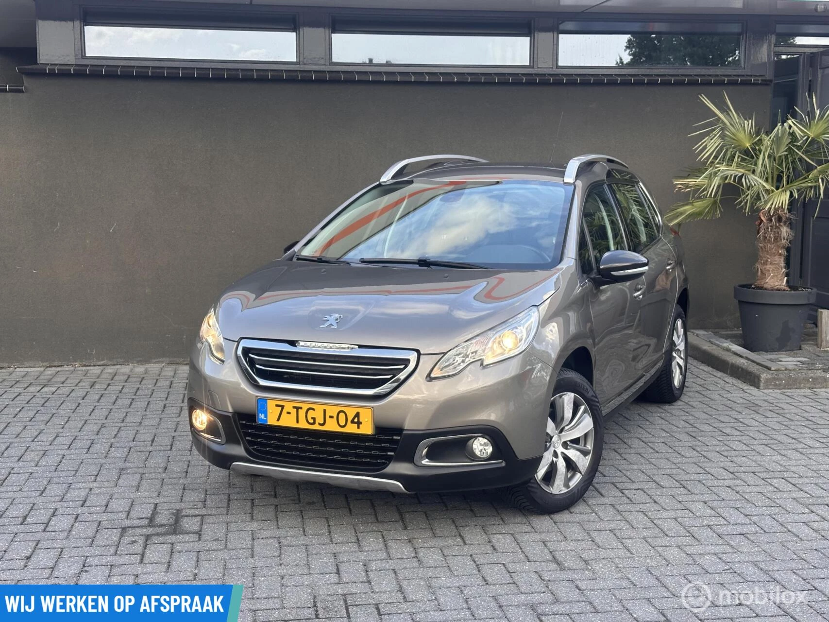 Hoofdafbeelding Peugeot 2008