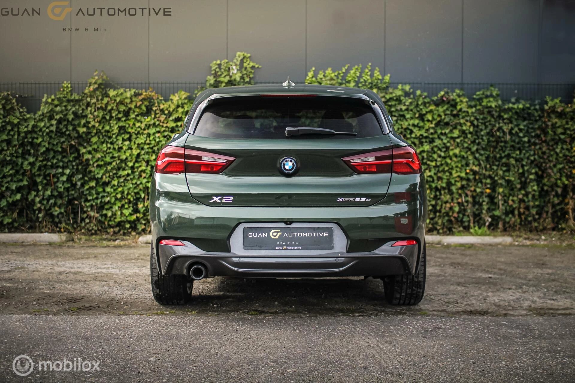 Hoofdafbeelding BMW X2