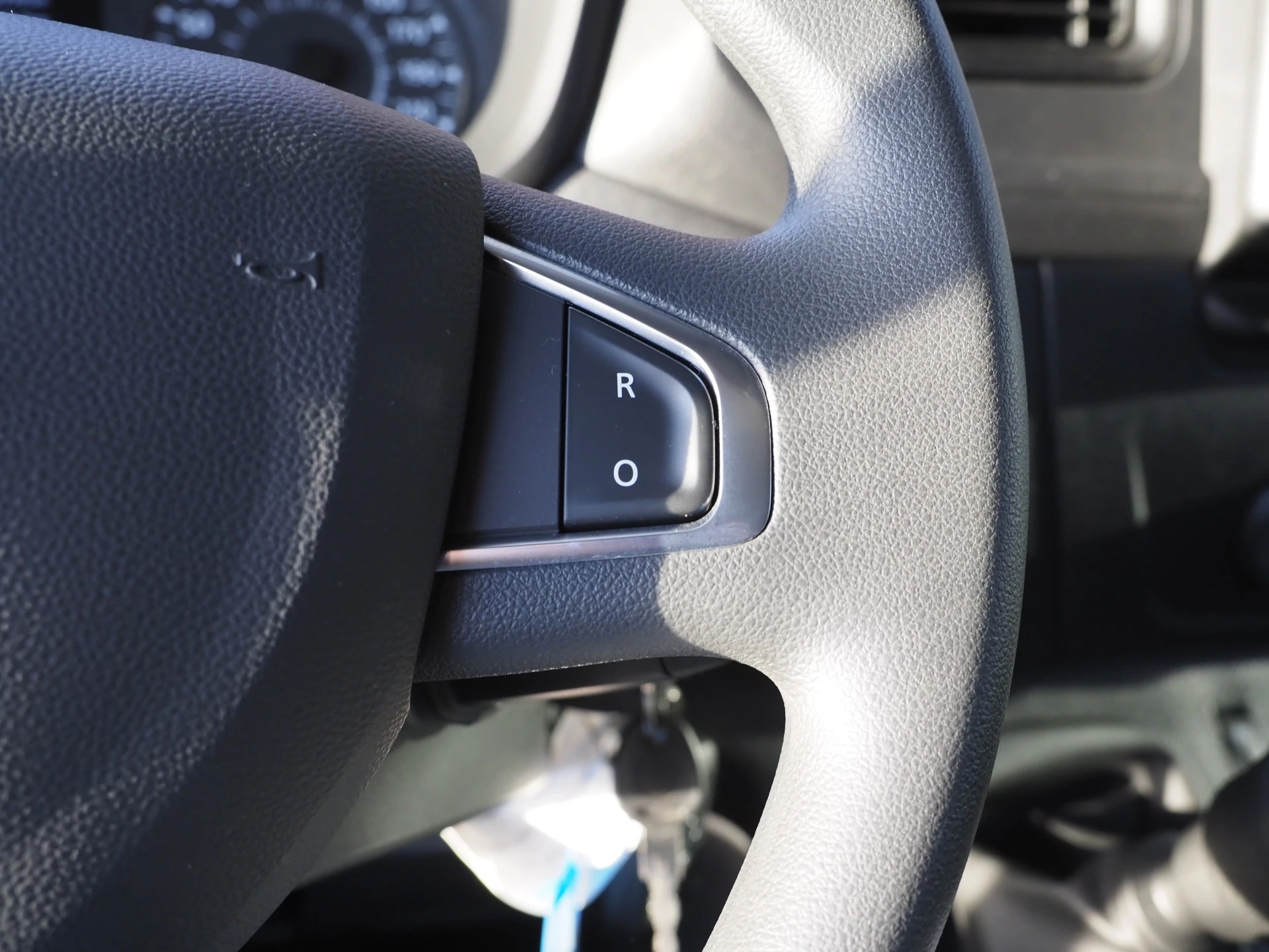 Hoofdafbeelding Renault Ahorn