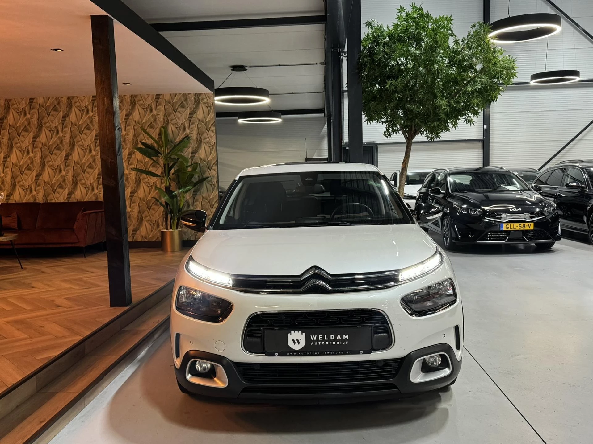 Hoofdafbeelding Citroën C4 Cactus