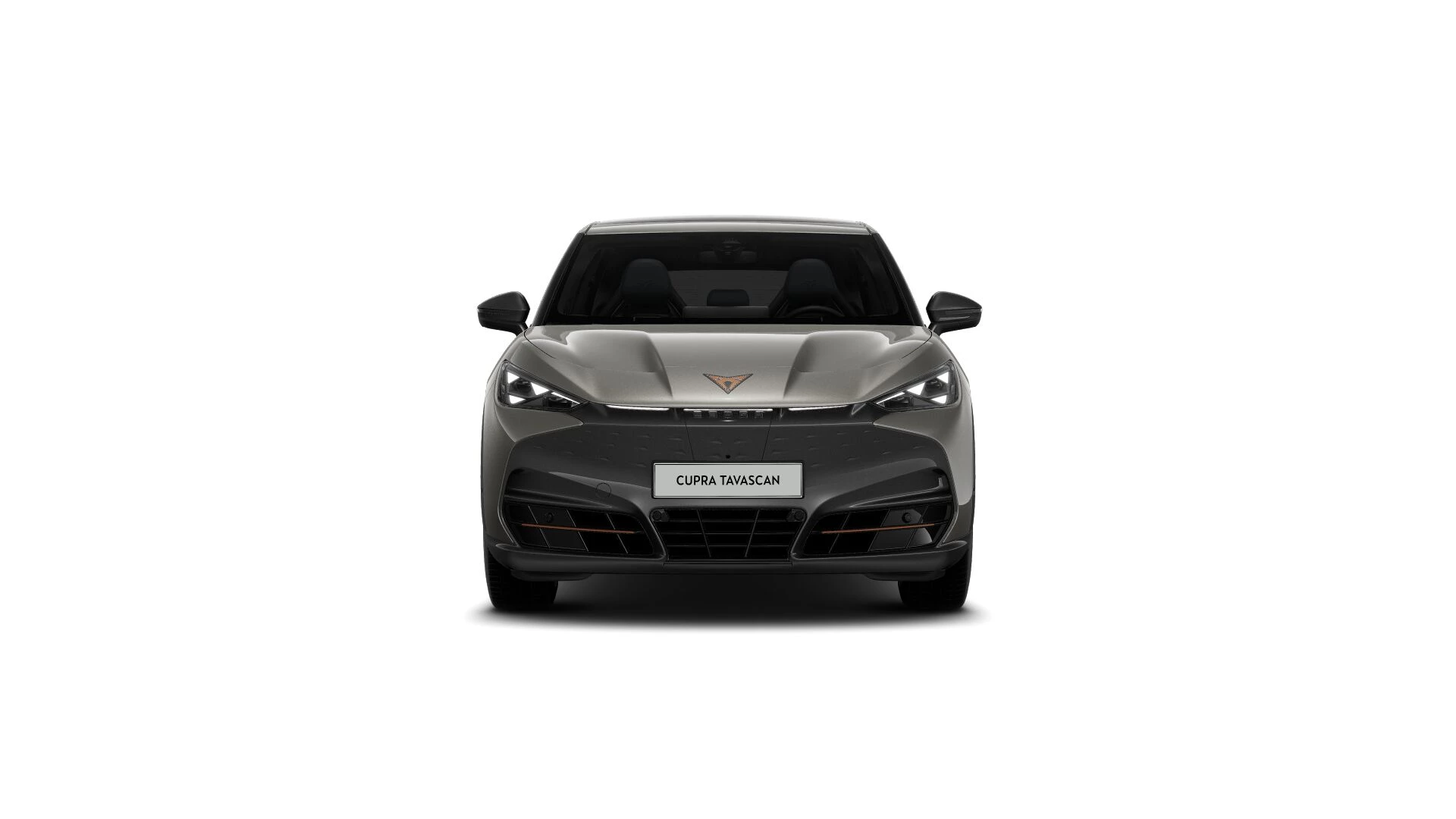 Hoofdafbeelding CUPRA Tavascan