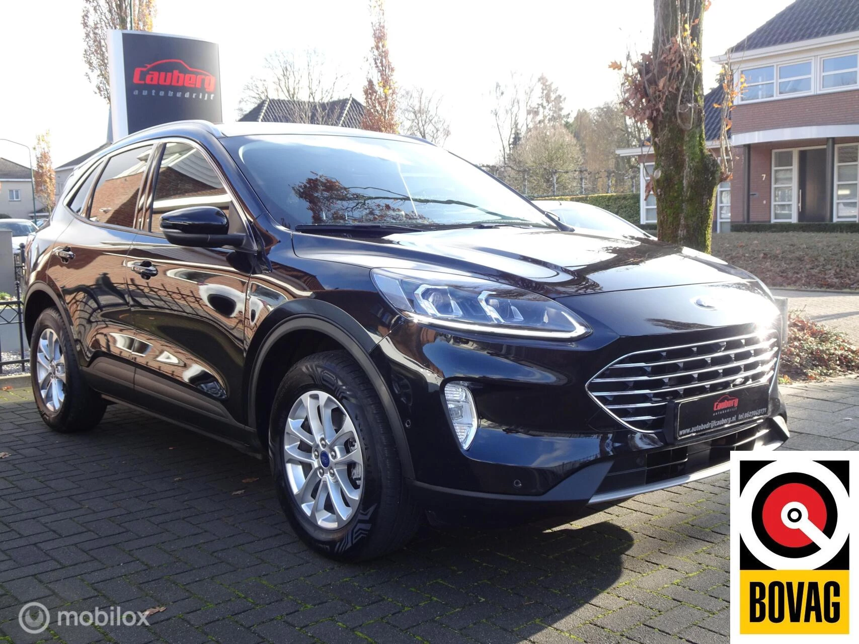 Hoofdafbeelding Ford Kuga