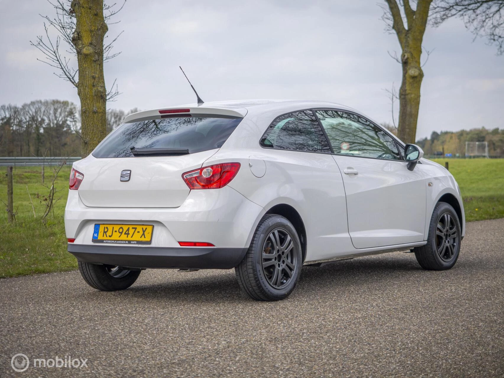 Hoofdafbeelding SEAT Ibiza