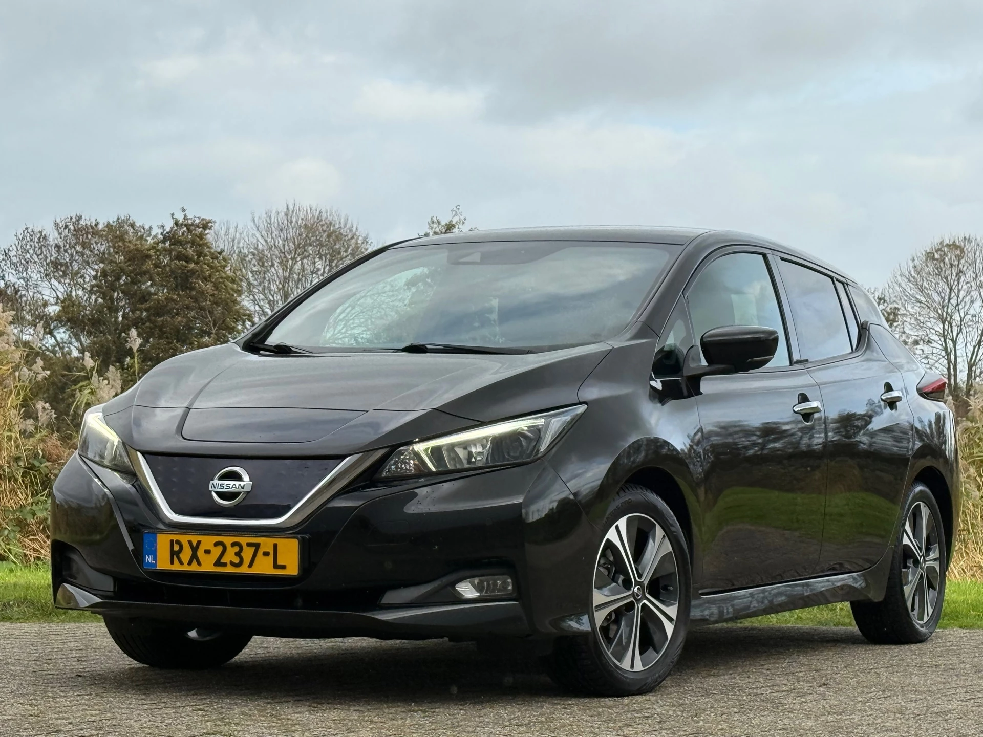 Hoofdafbeelding Nissan Leaf