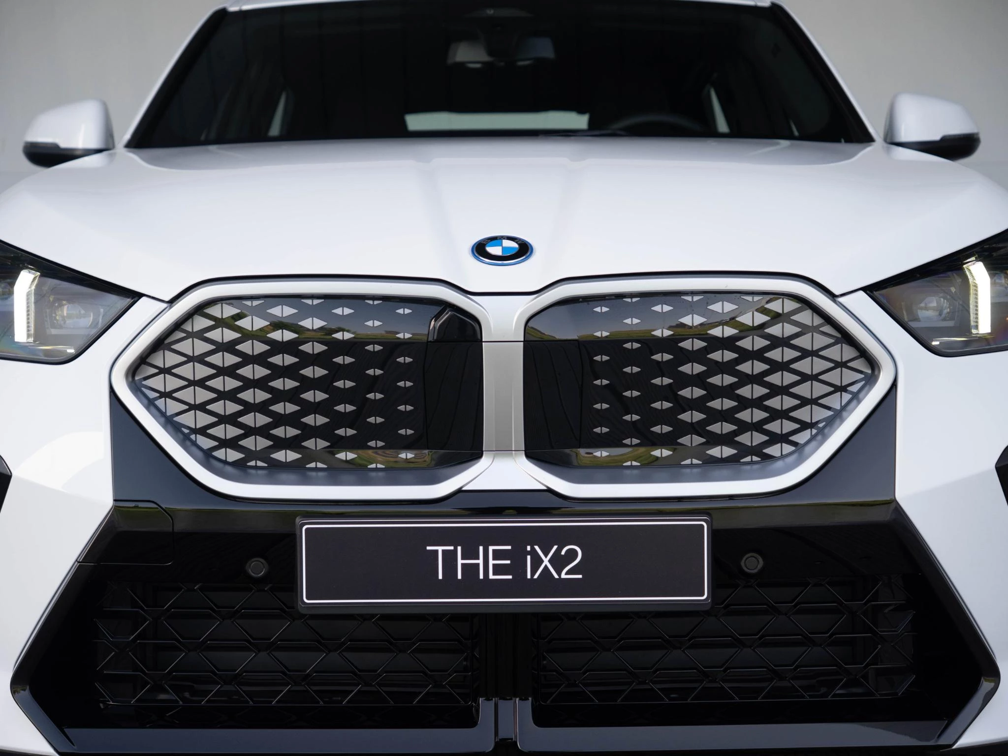 Hoofdafbeelding BMW iX2