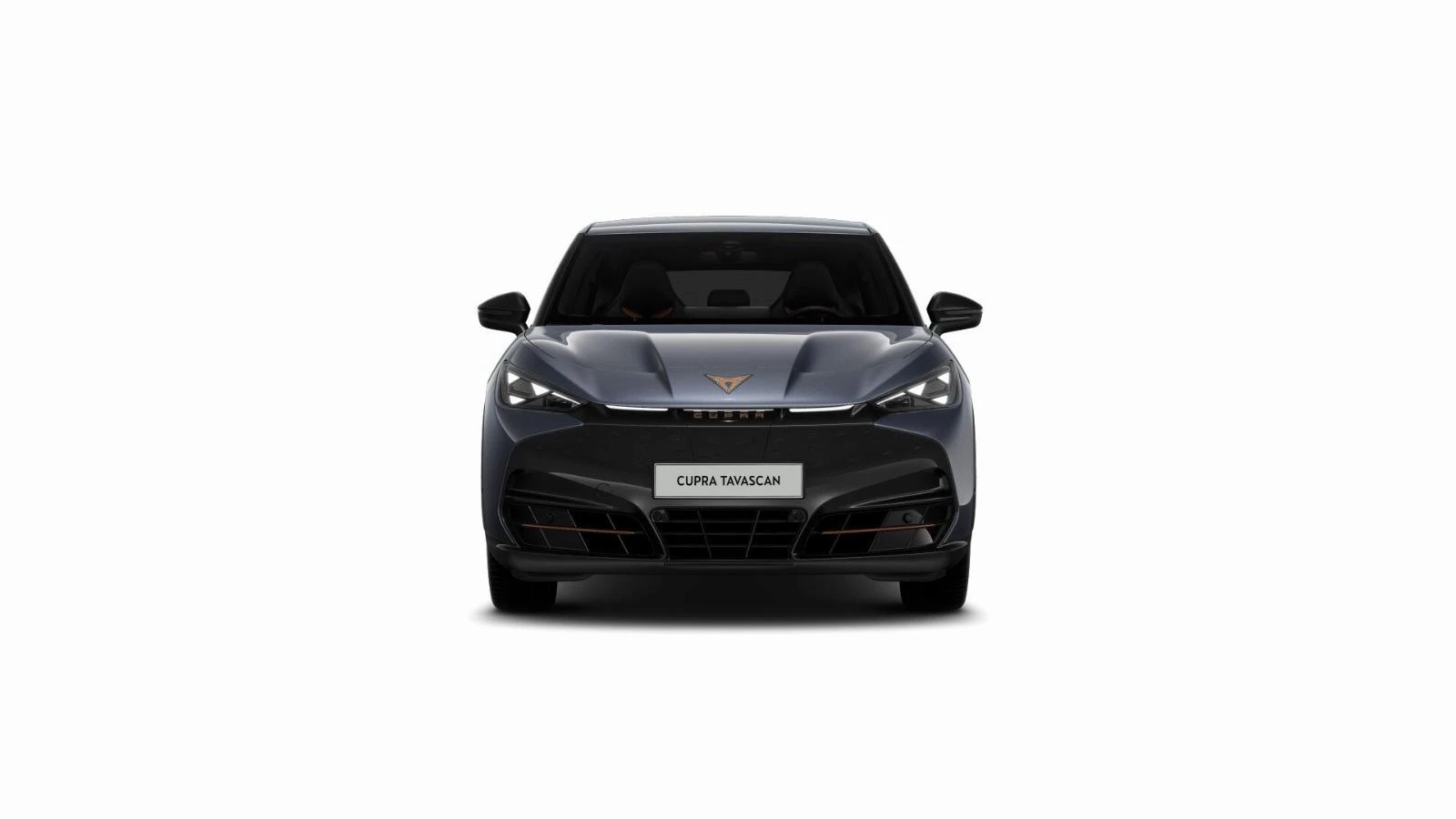 Hoofdafbeelding CUPRA Tavascan