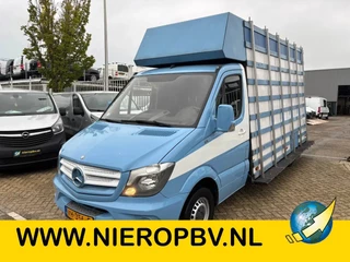 Mercedes-Benz Sprinter 313 cdi glasresteel