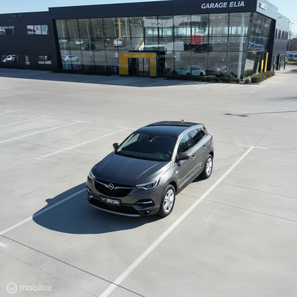 Hoofdafbeelding Opel Grandland X