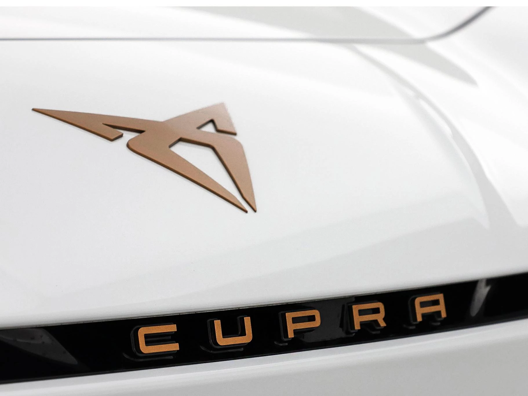 Hoofdafbeelding CUPRA Born