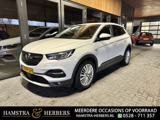 Hoofdafbeelding Opel Grandland X Opel Grandland X 1.2 Turbo Business Edition wit