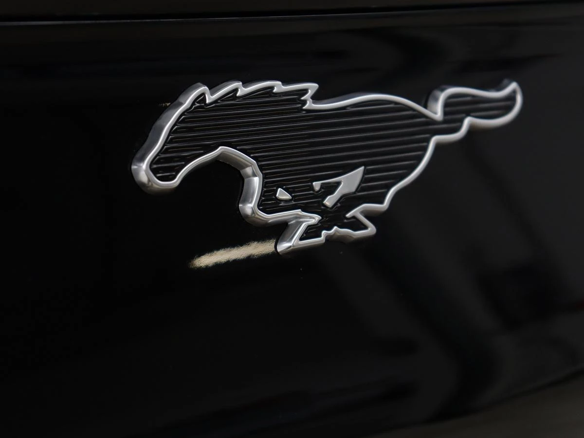 Hoofdafbeelding Ford Mustang Mach-E