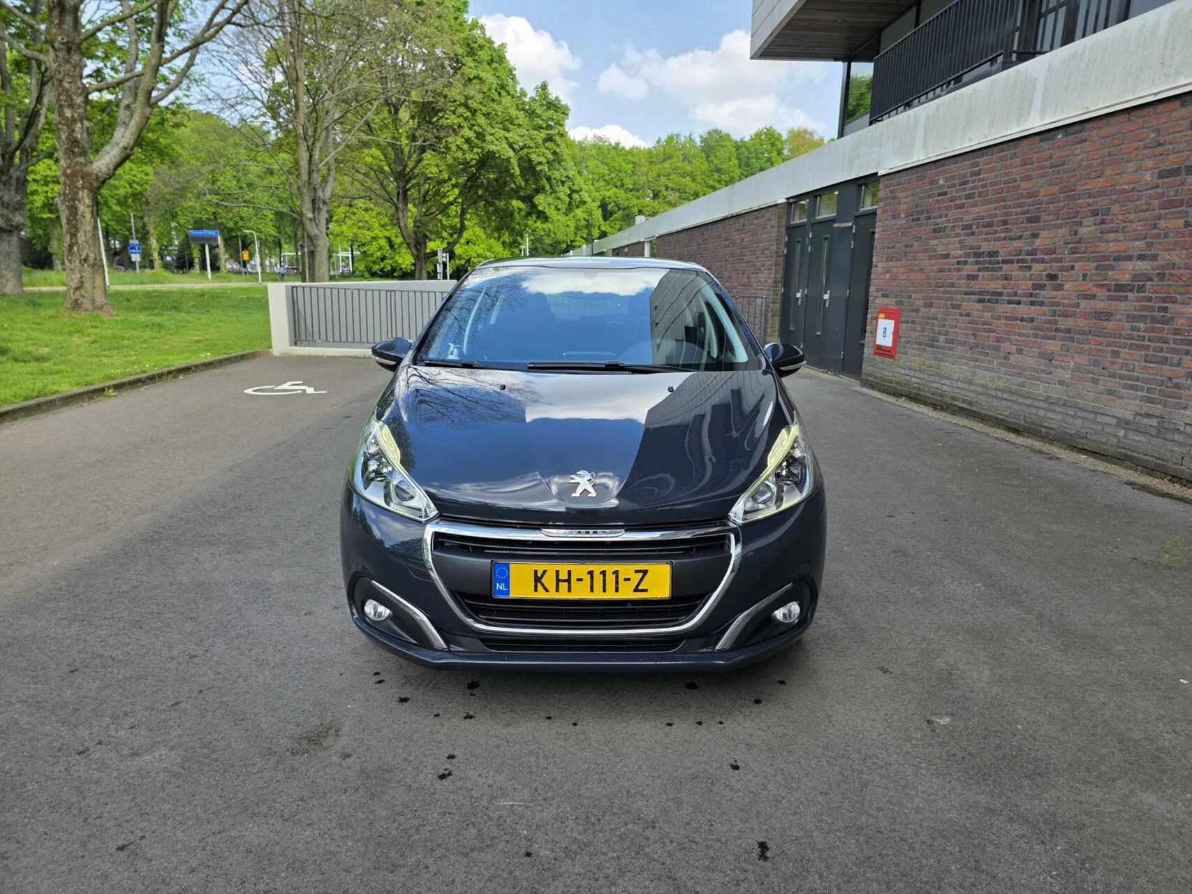 Hoofdafbeelding Peugeot 208