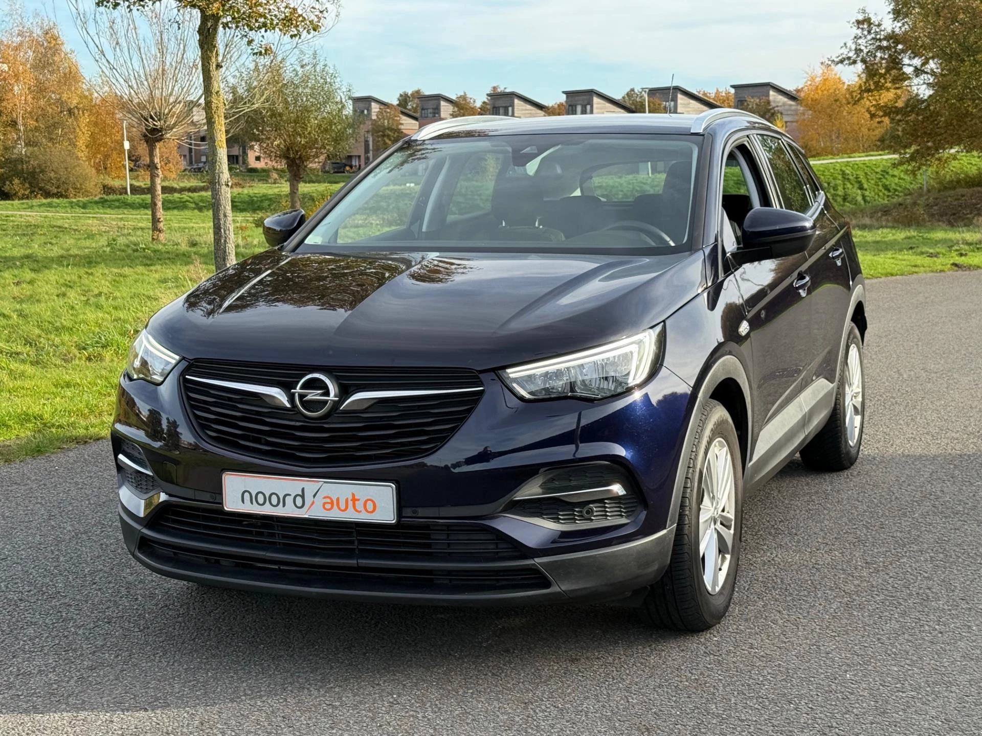 Hoofdafbeelding Opel Grandland X
