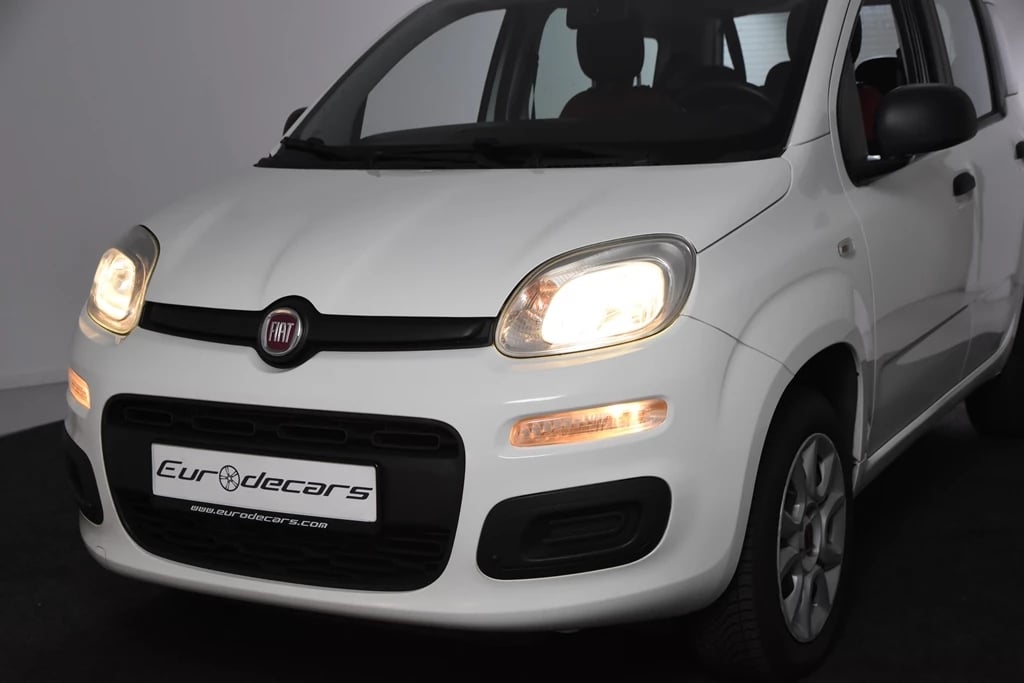 Hoofdafbeelding Fiat Panda