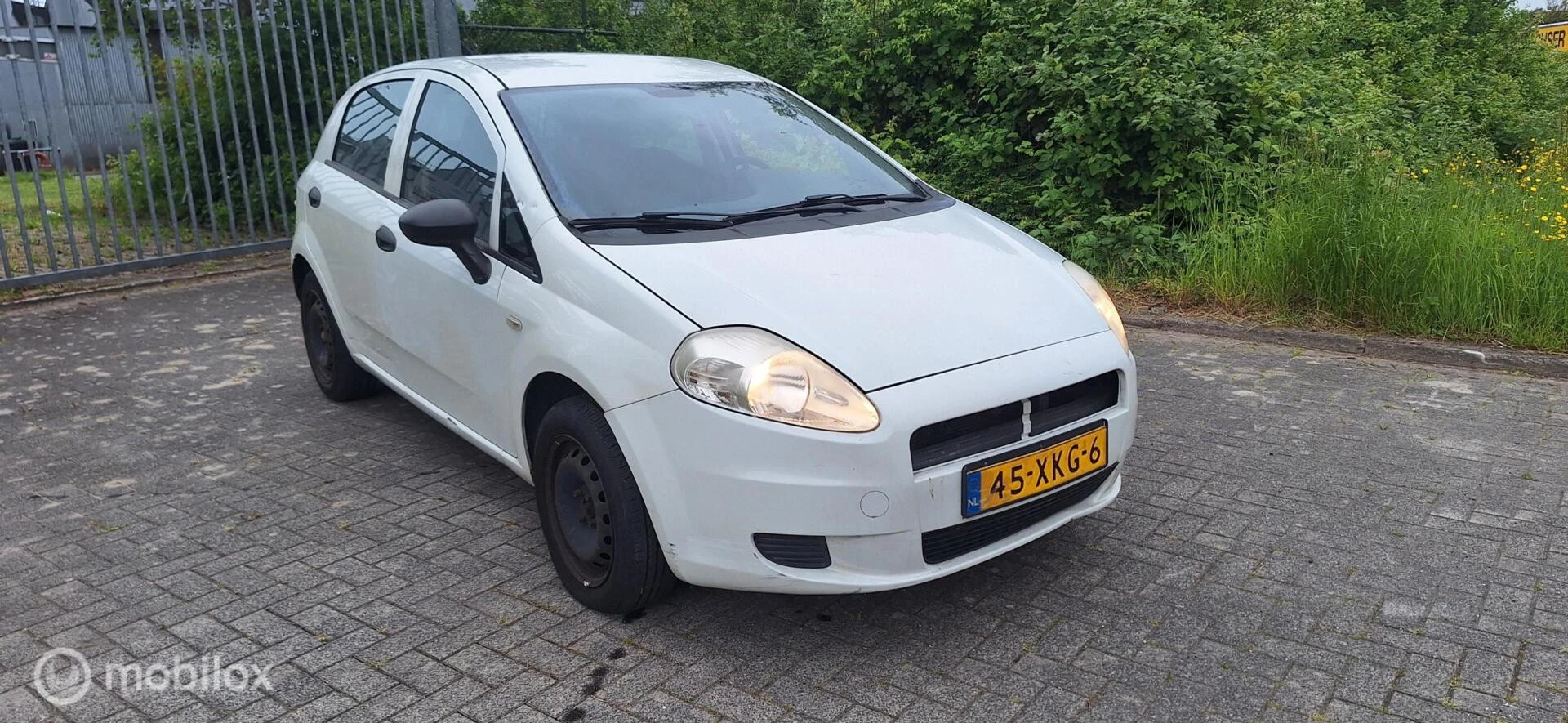 Hoofdafbeelding Fiat Punto