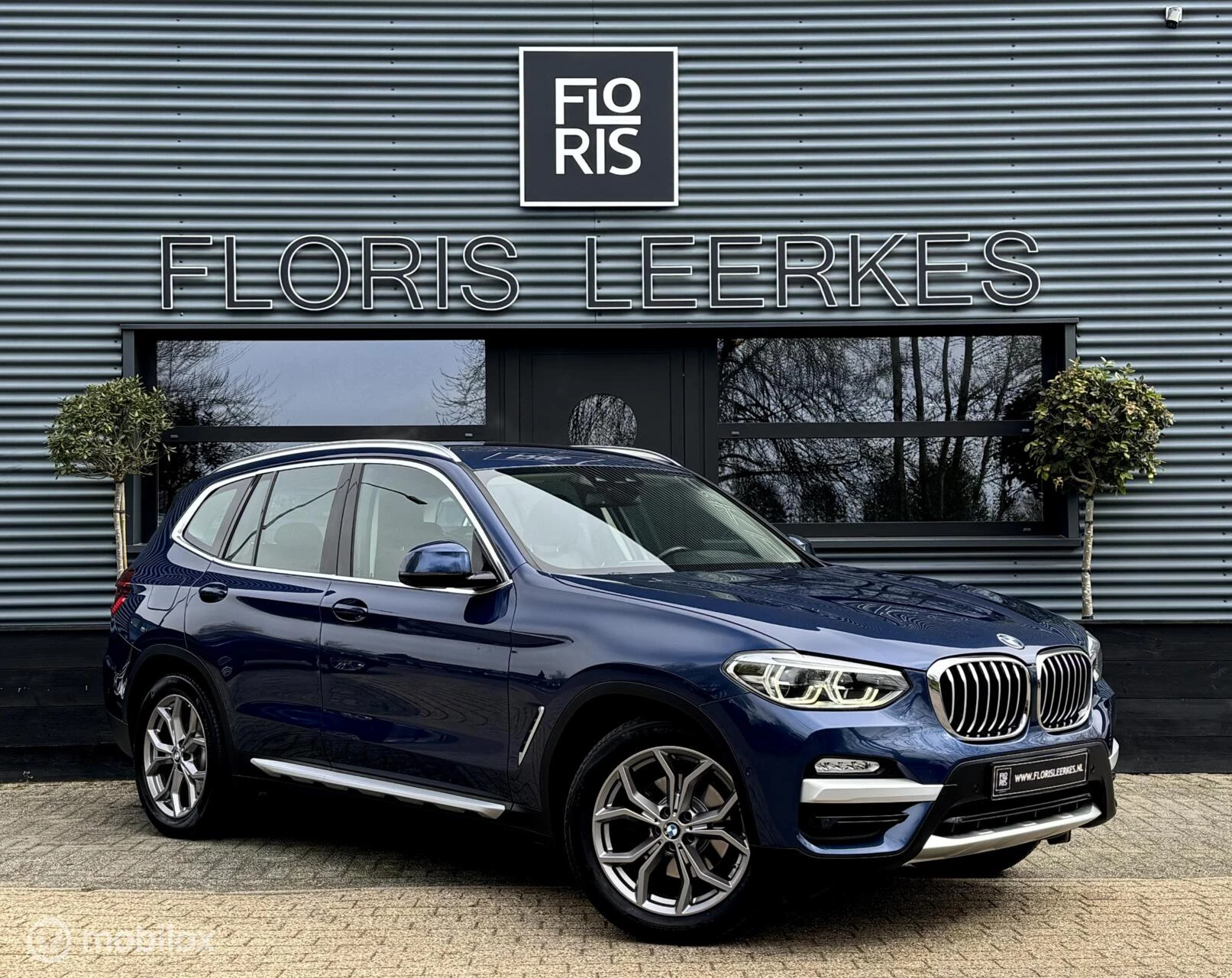 Hoofdafbeelding BMW X3