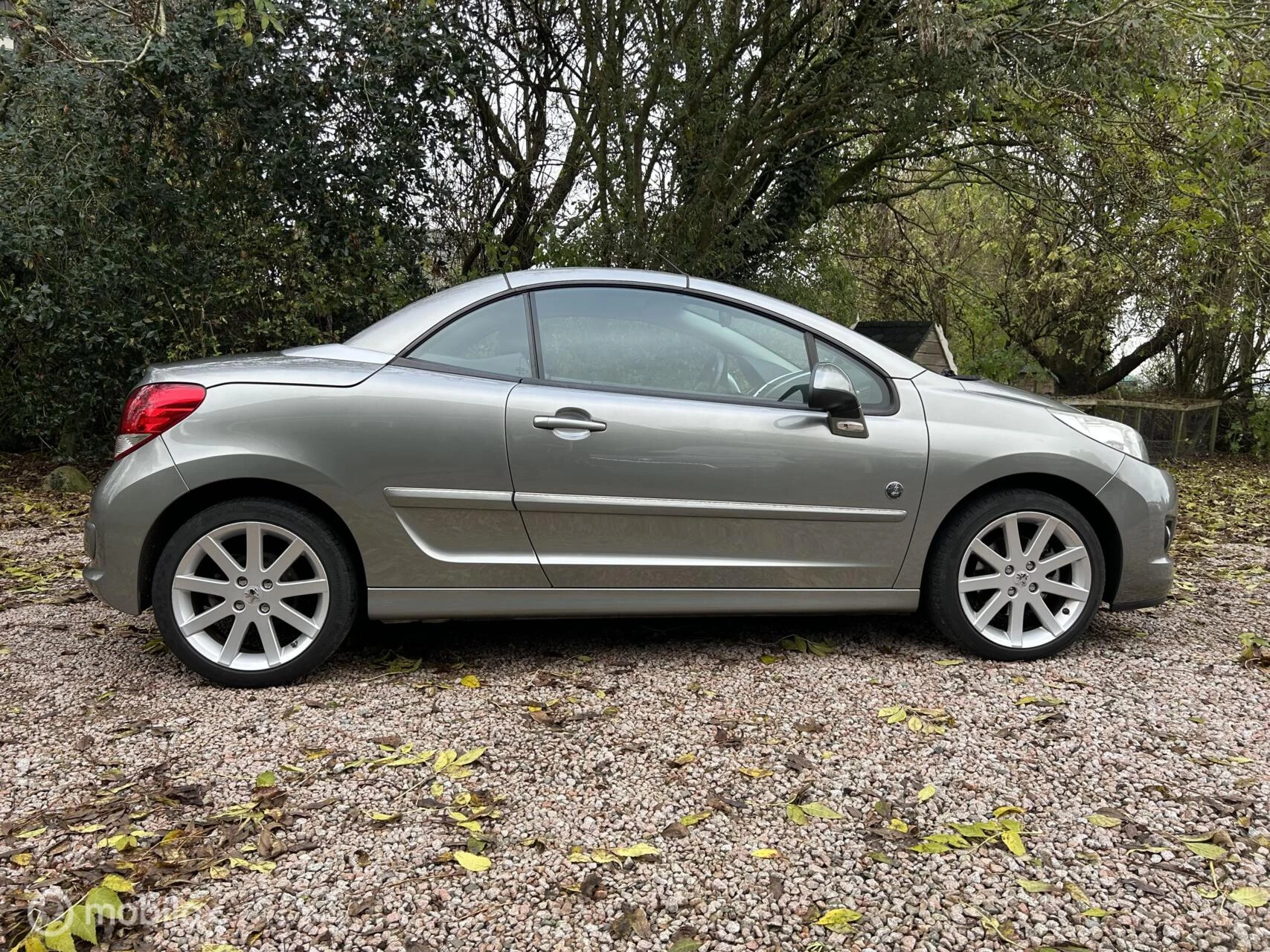 Hoofdafbeelding Peugeot 207