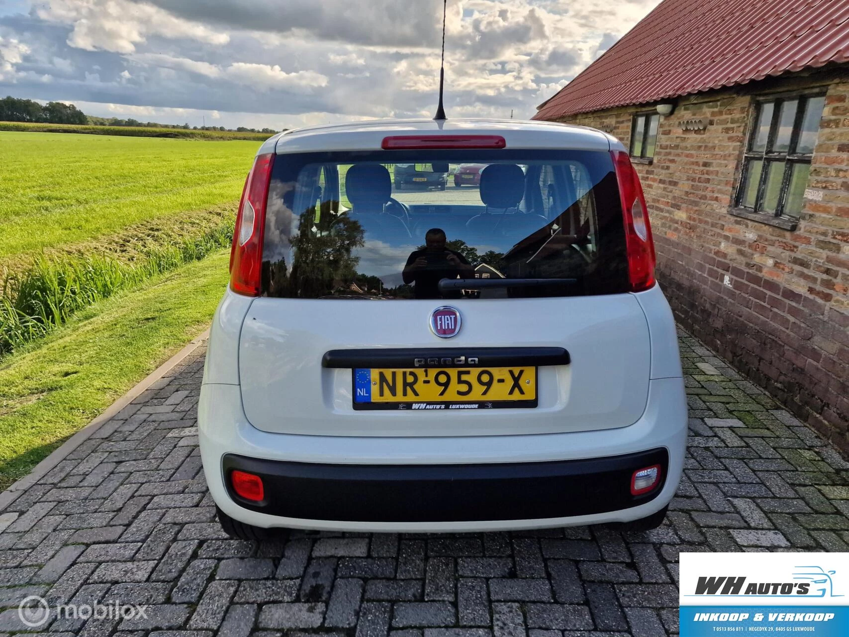 Hoofdafbeelding Fiat Panda